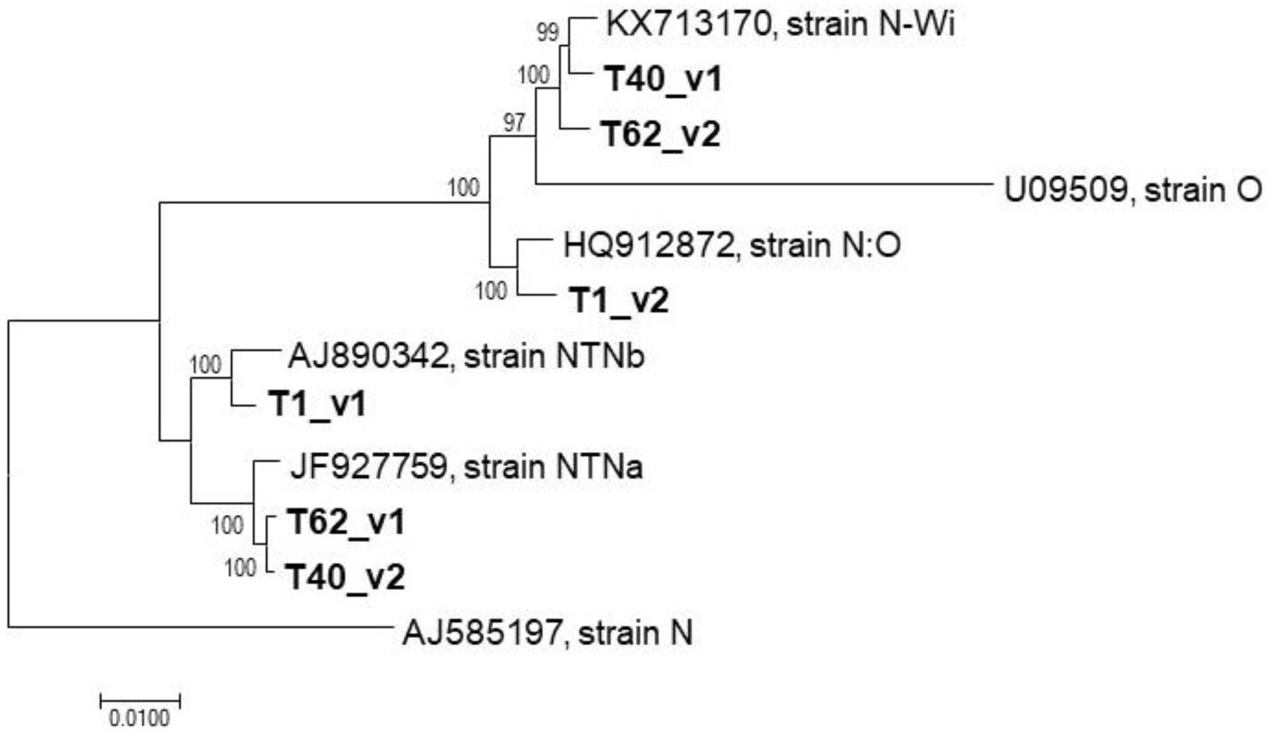 Plants 10 00753 g003 Plants 10 00753 g003