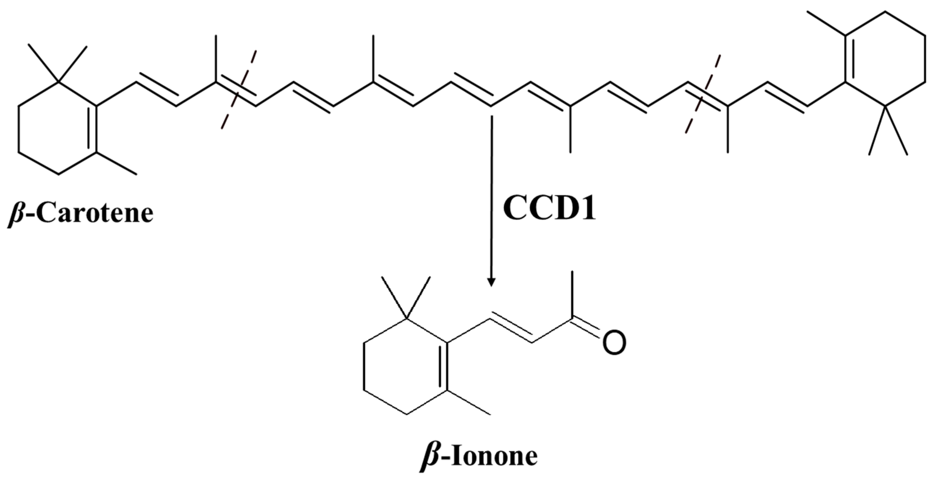 Plants 10 00754 g001