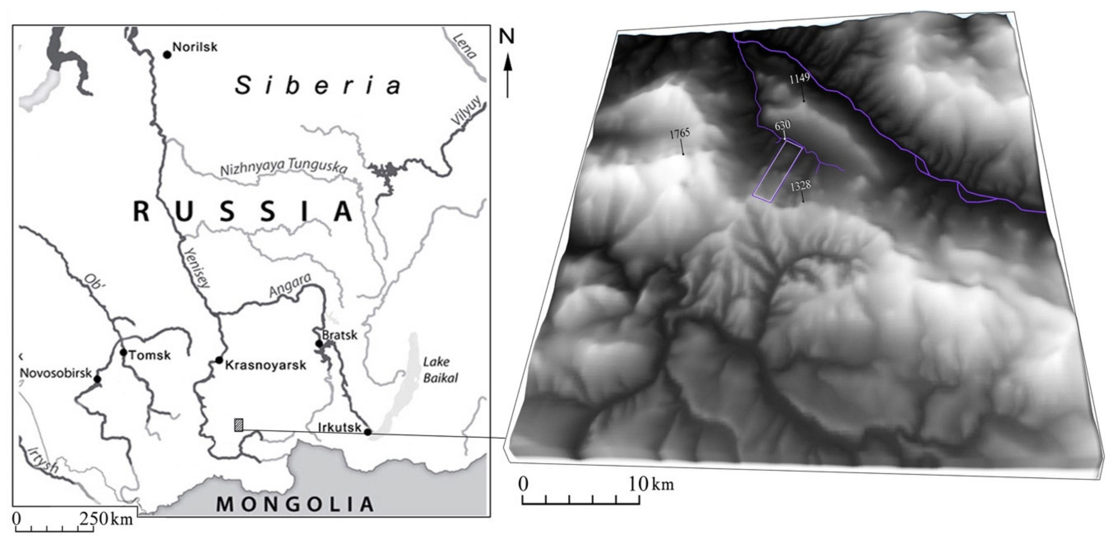 Plants 10 00763 g006