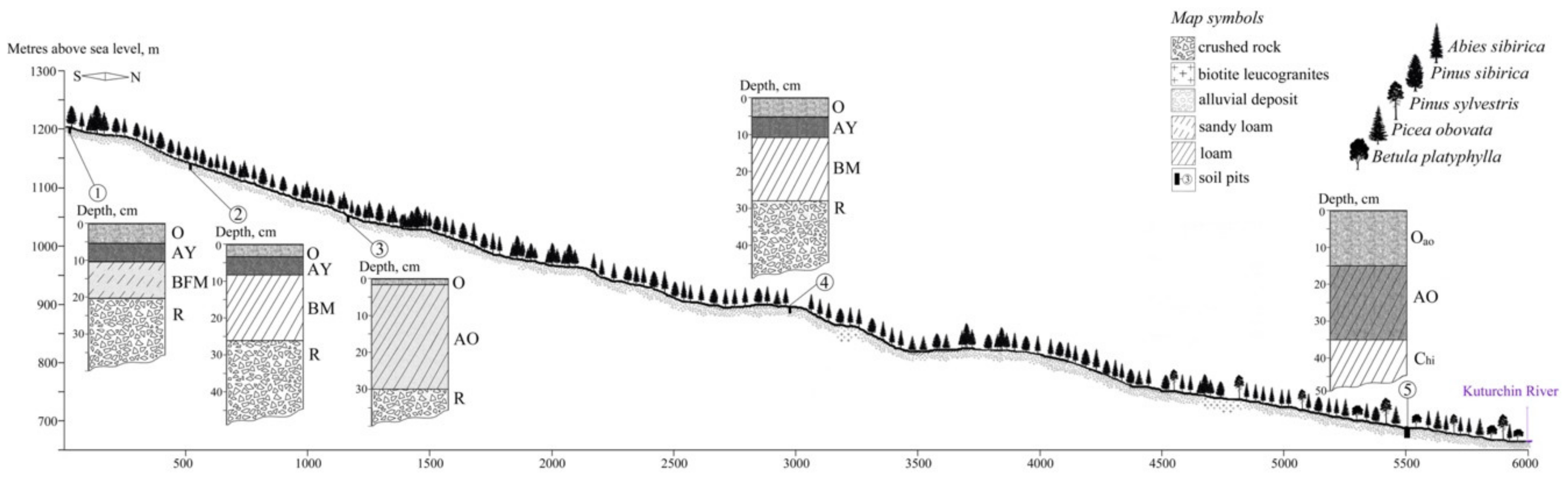 Plants 10 00763 g007
