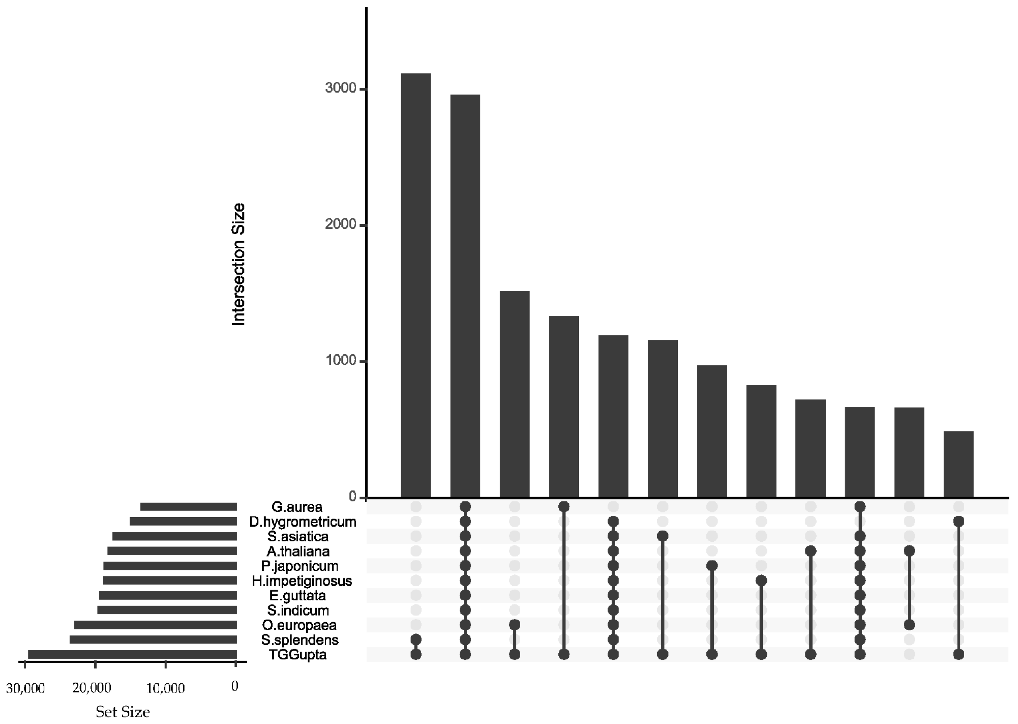 Plants 10 00765 g004 Plants 10 00765 g004