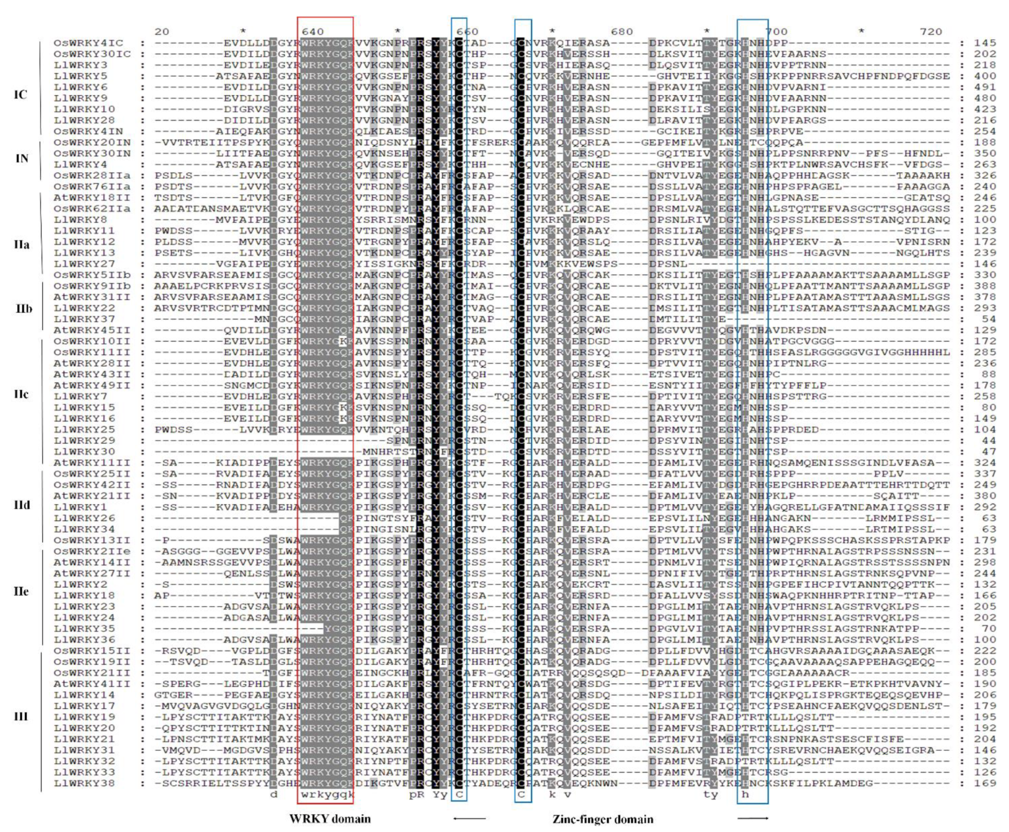 Plants 10 00776 g001