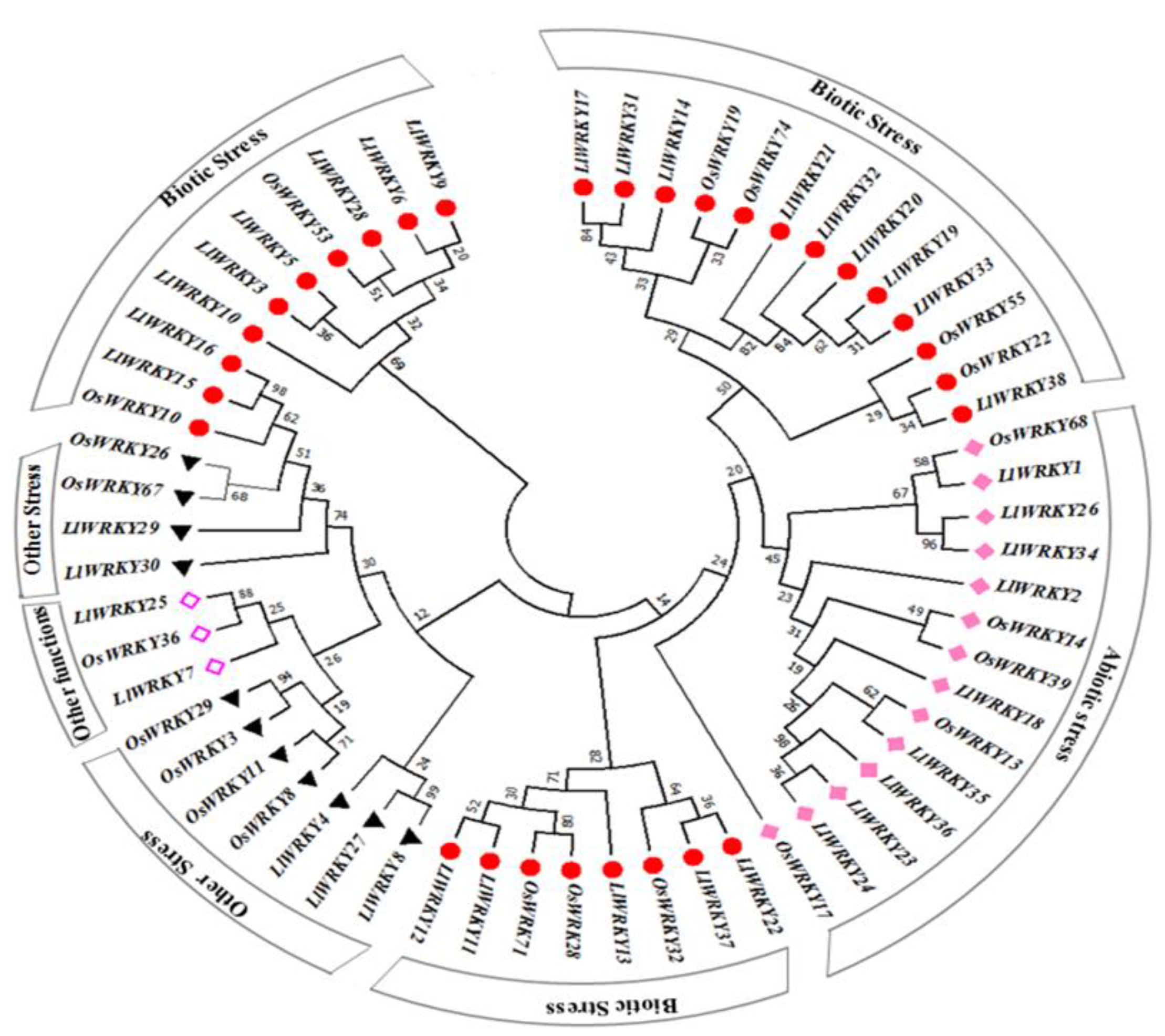 Plants 10 00776 g003