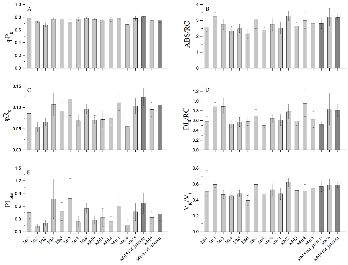 Plants 10 00778 g003
