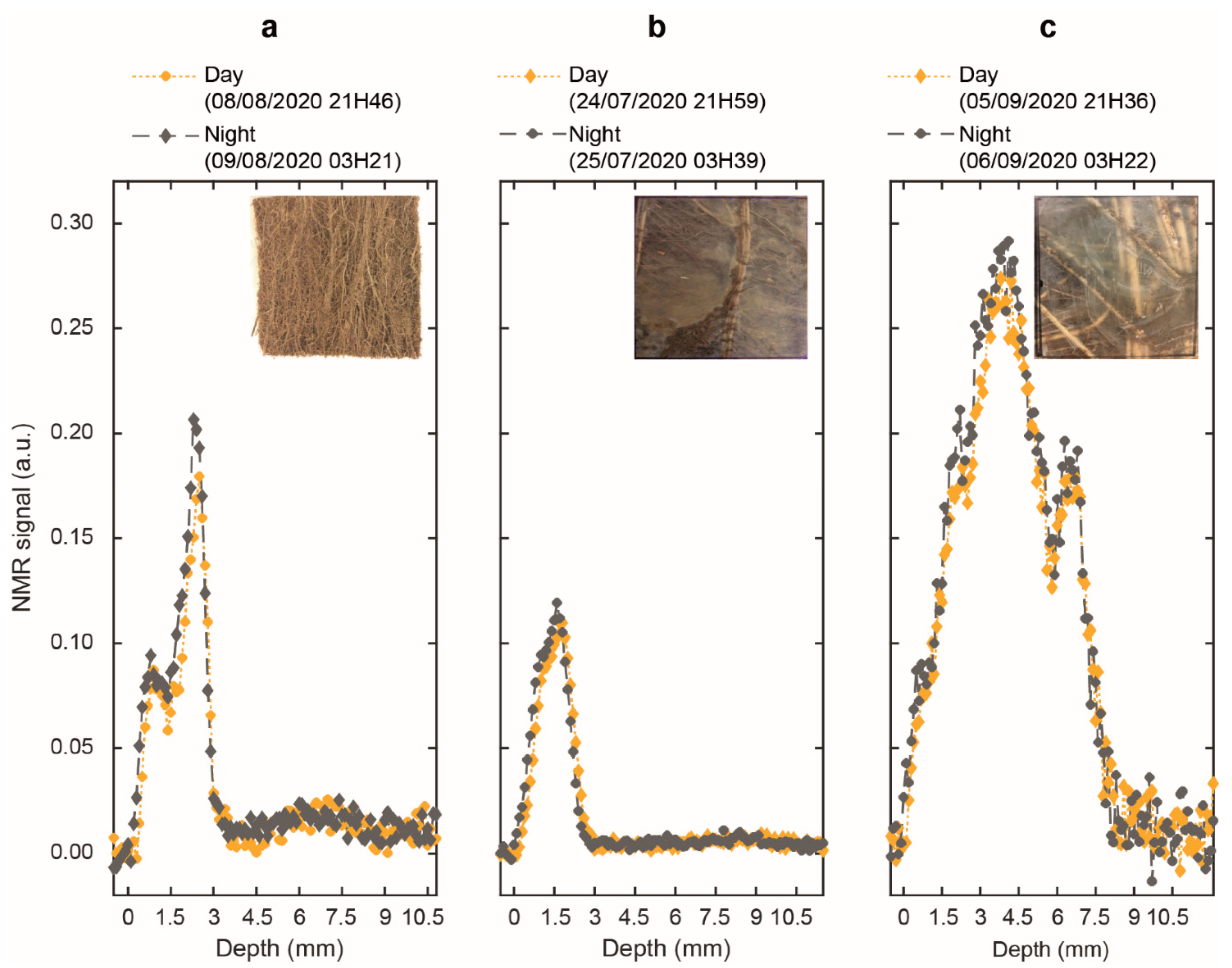 Plants 10 00782 g002 Plants 10 00782 g002