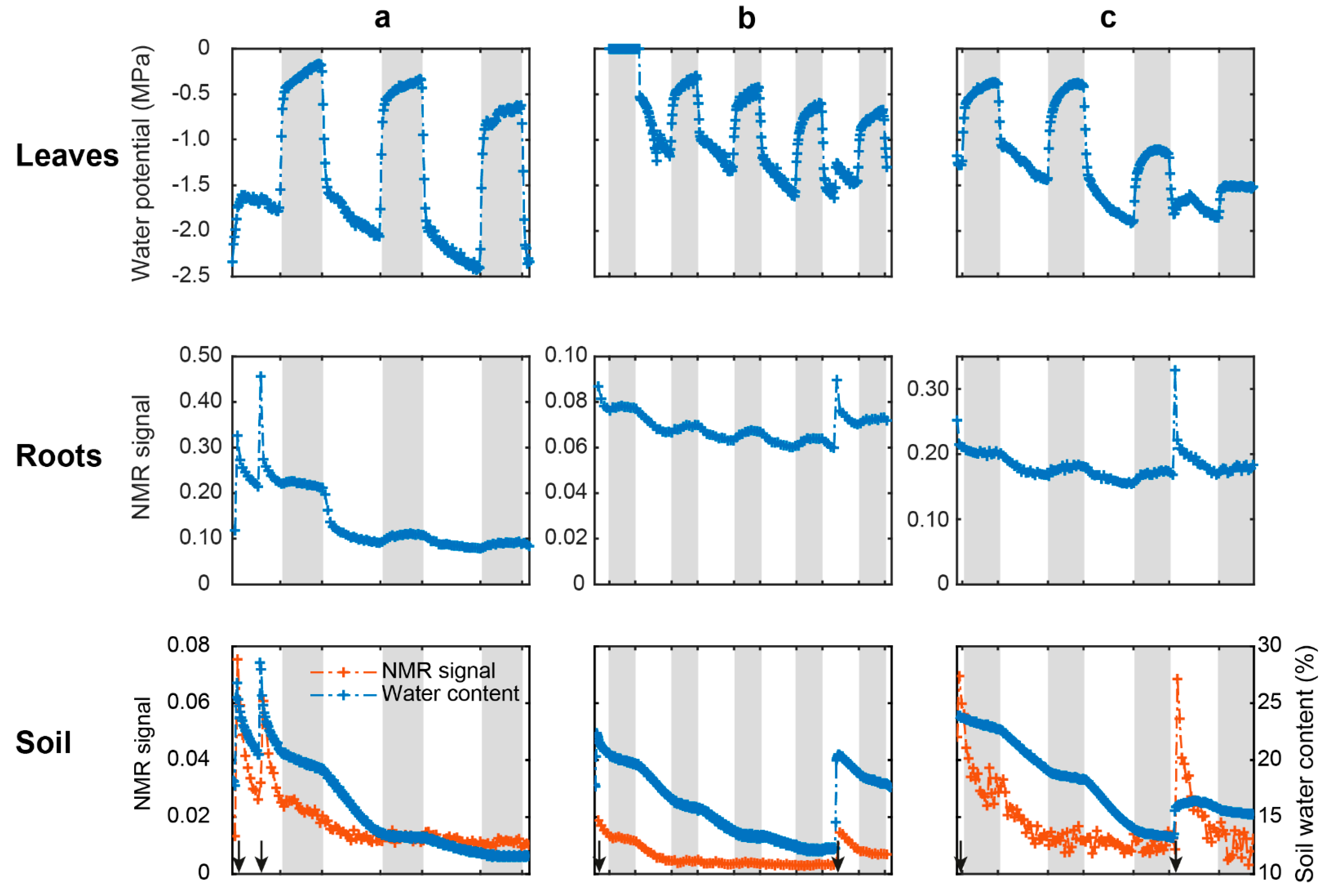 Plants 10 00782 g003 Plants 10 00782 g003
