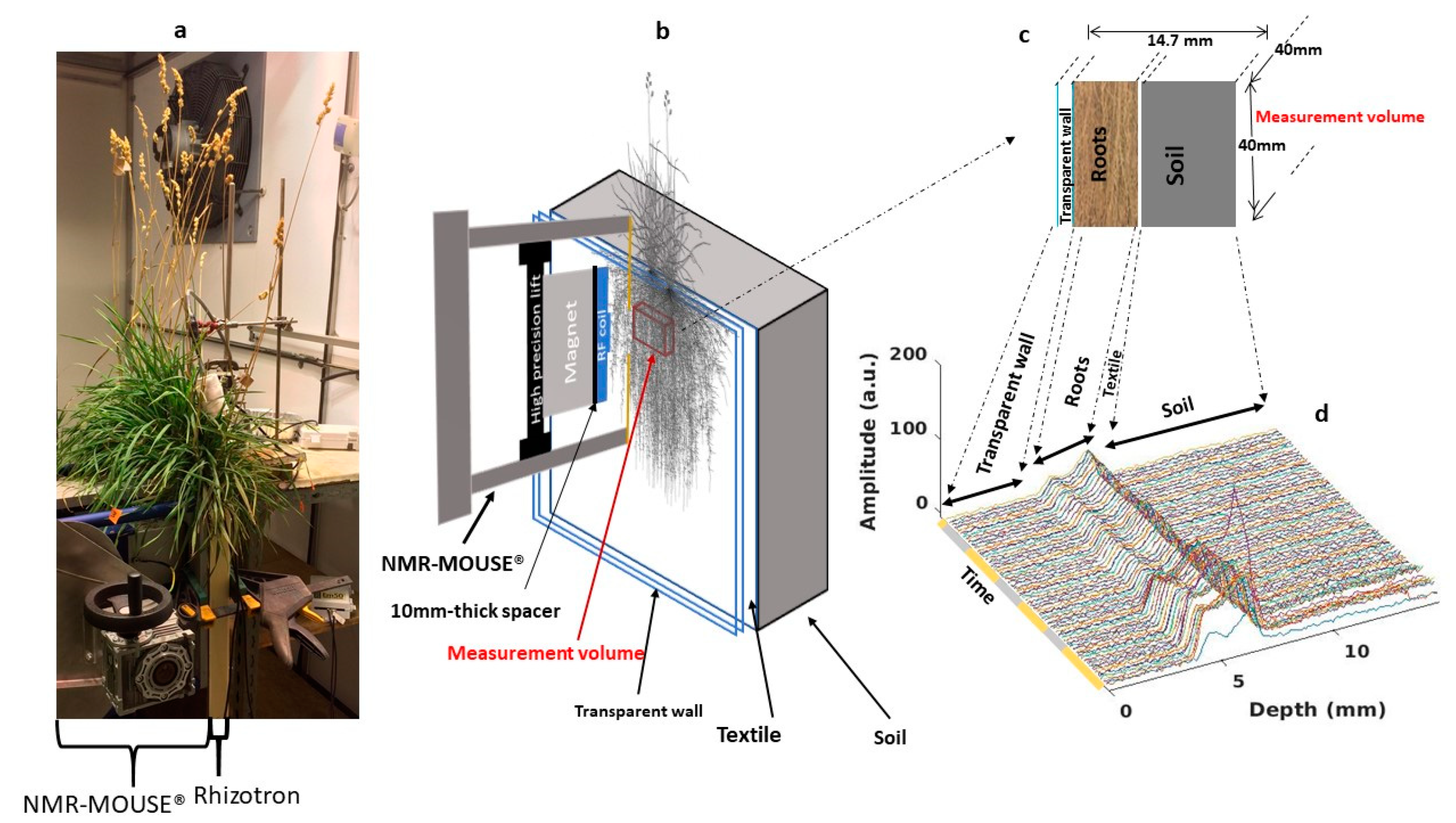 Plants 10 00782 g005 Plants 10 00782 g005