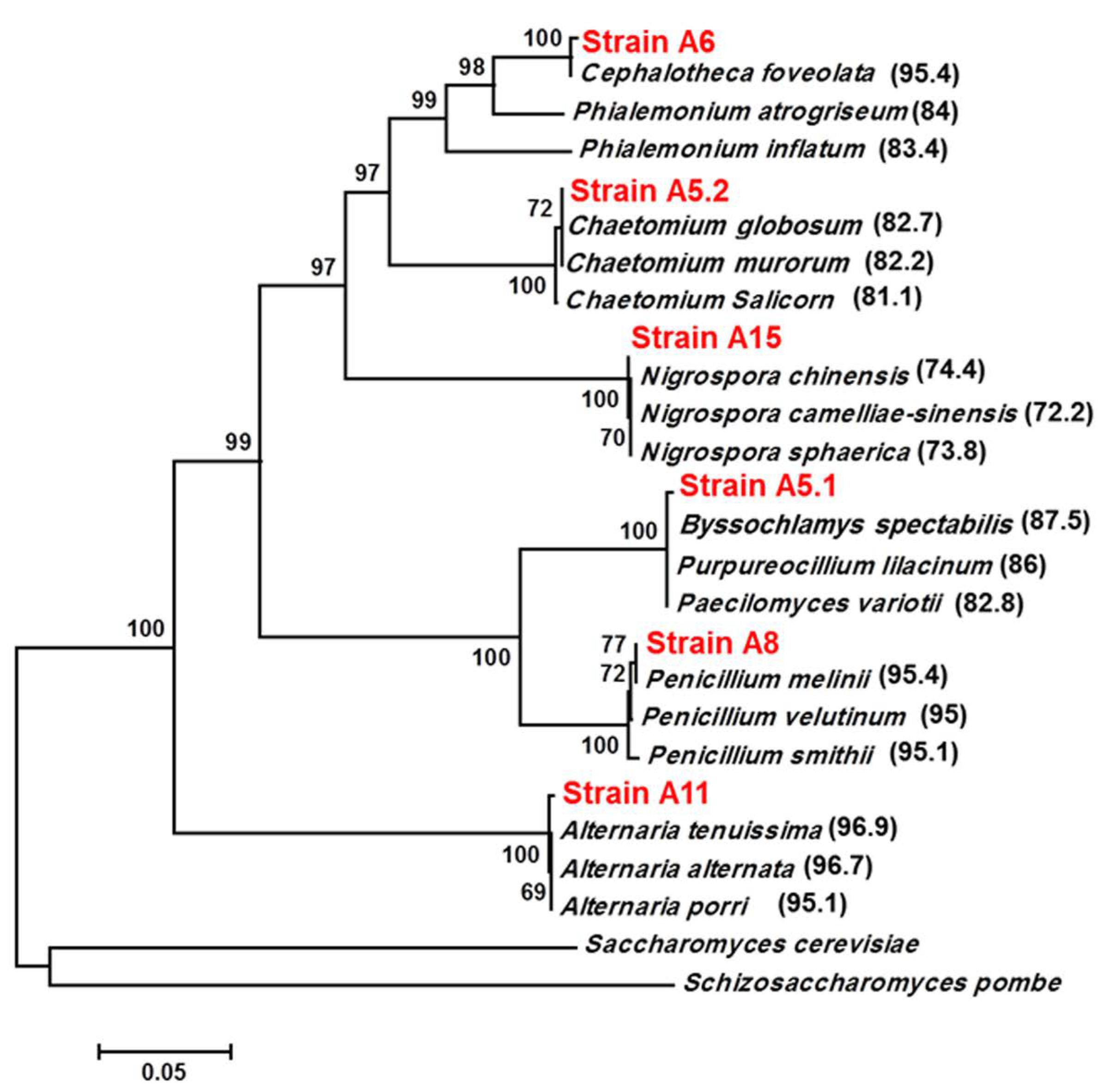 Plants 10 00784 g001 Plants 10 00784 g001