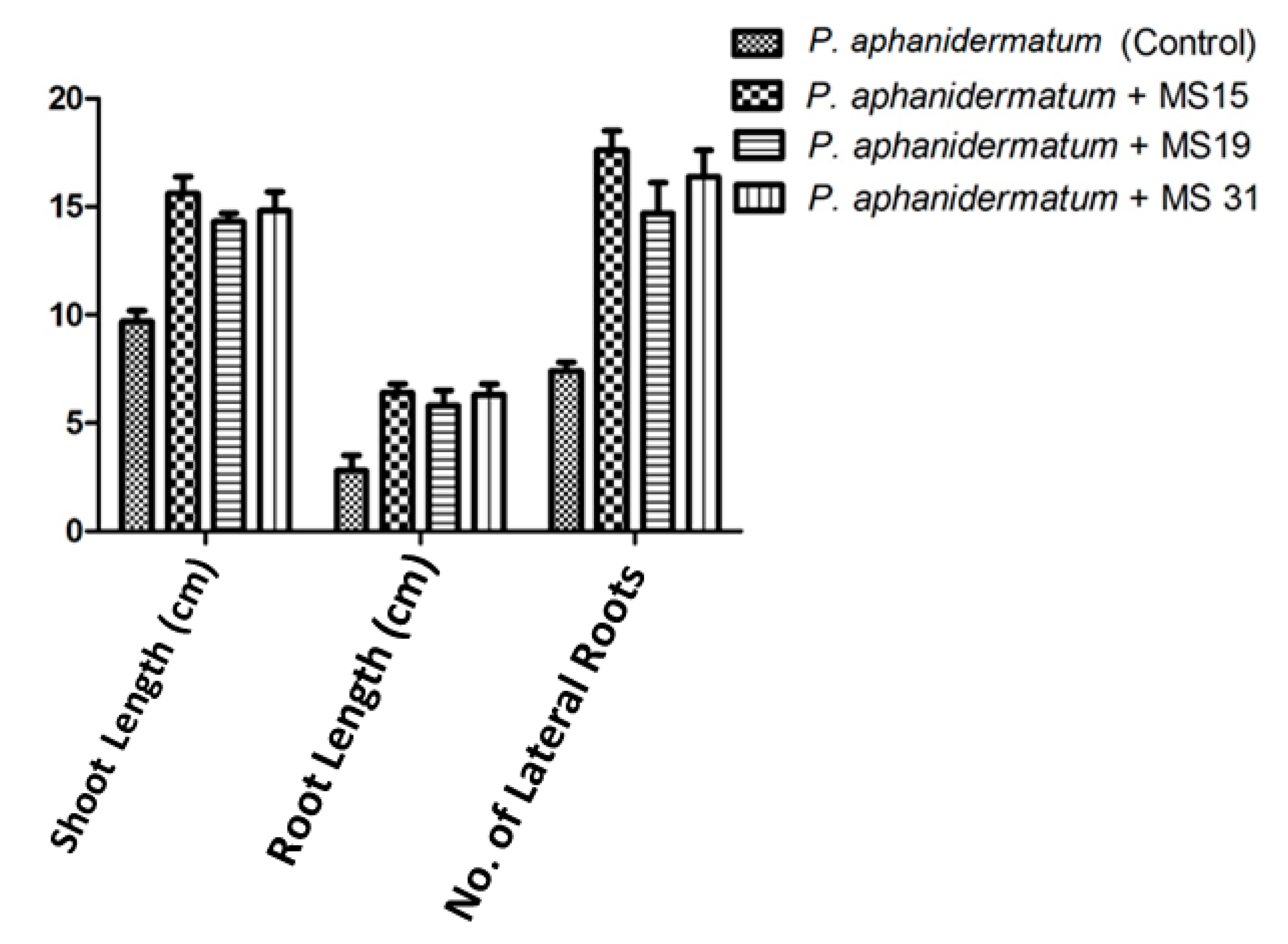 Plants 10 00788 g005
