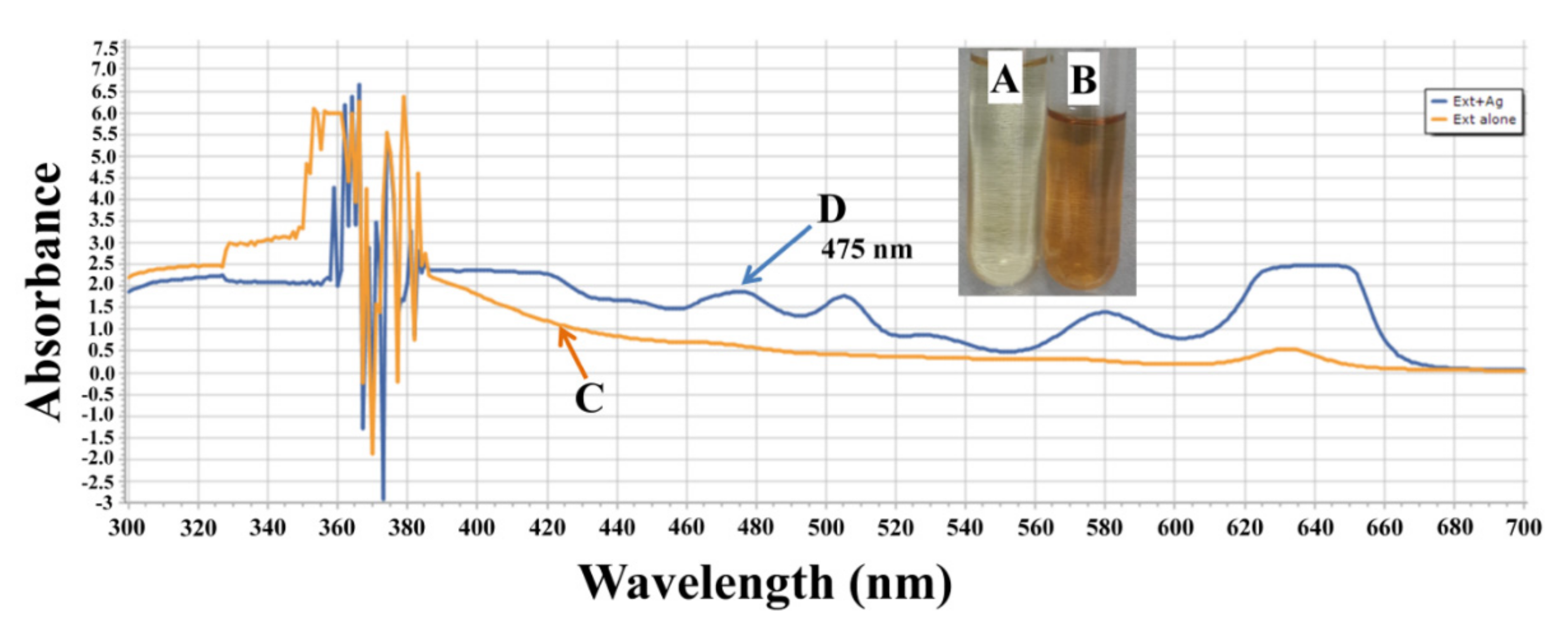 Plants 10 00790 g001