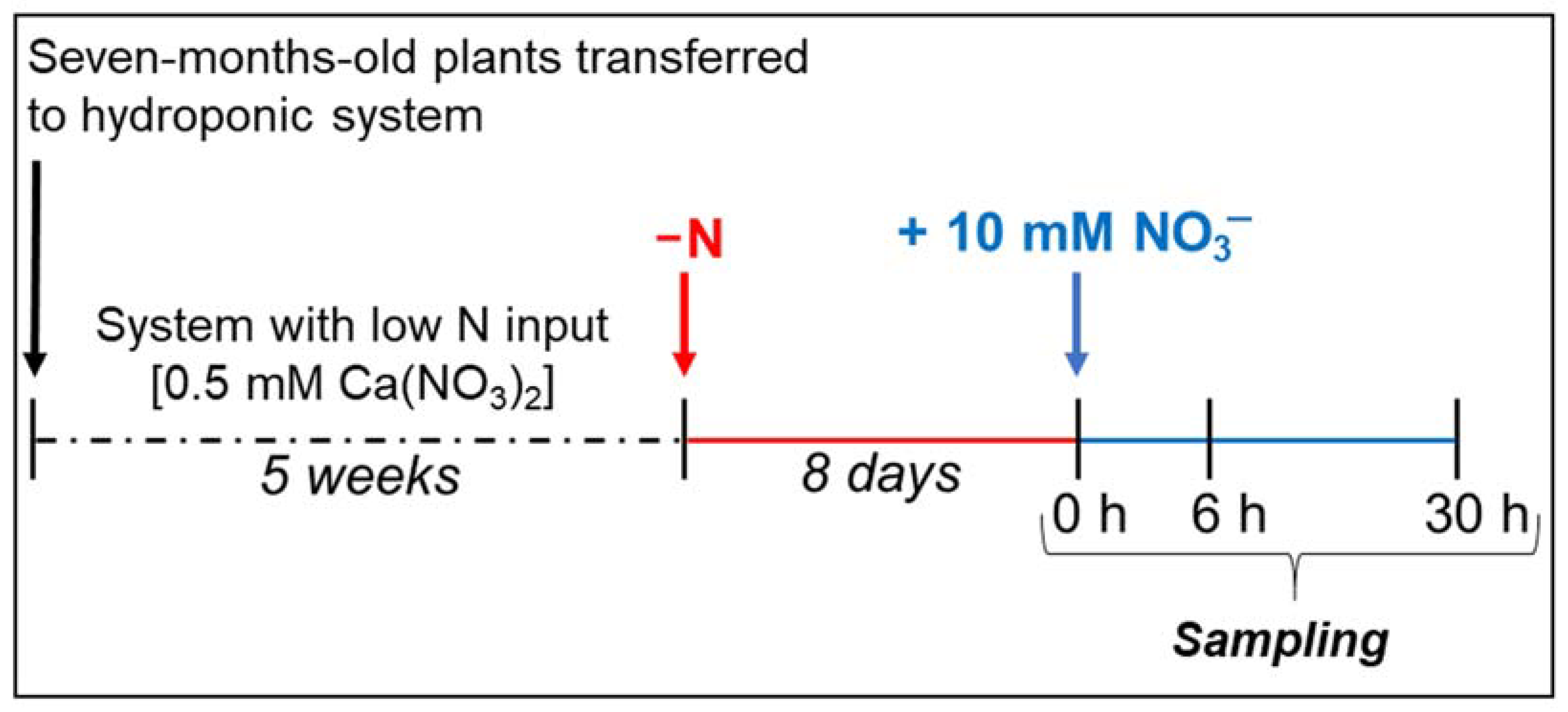 Plants 10 00792 g004