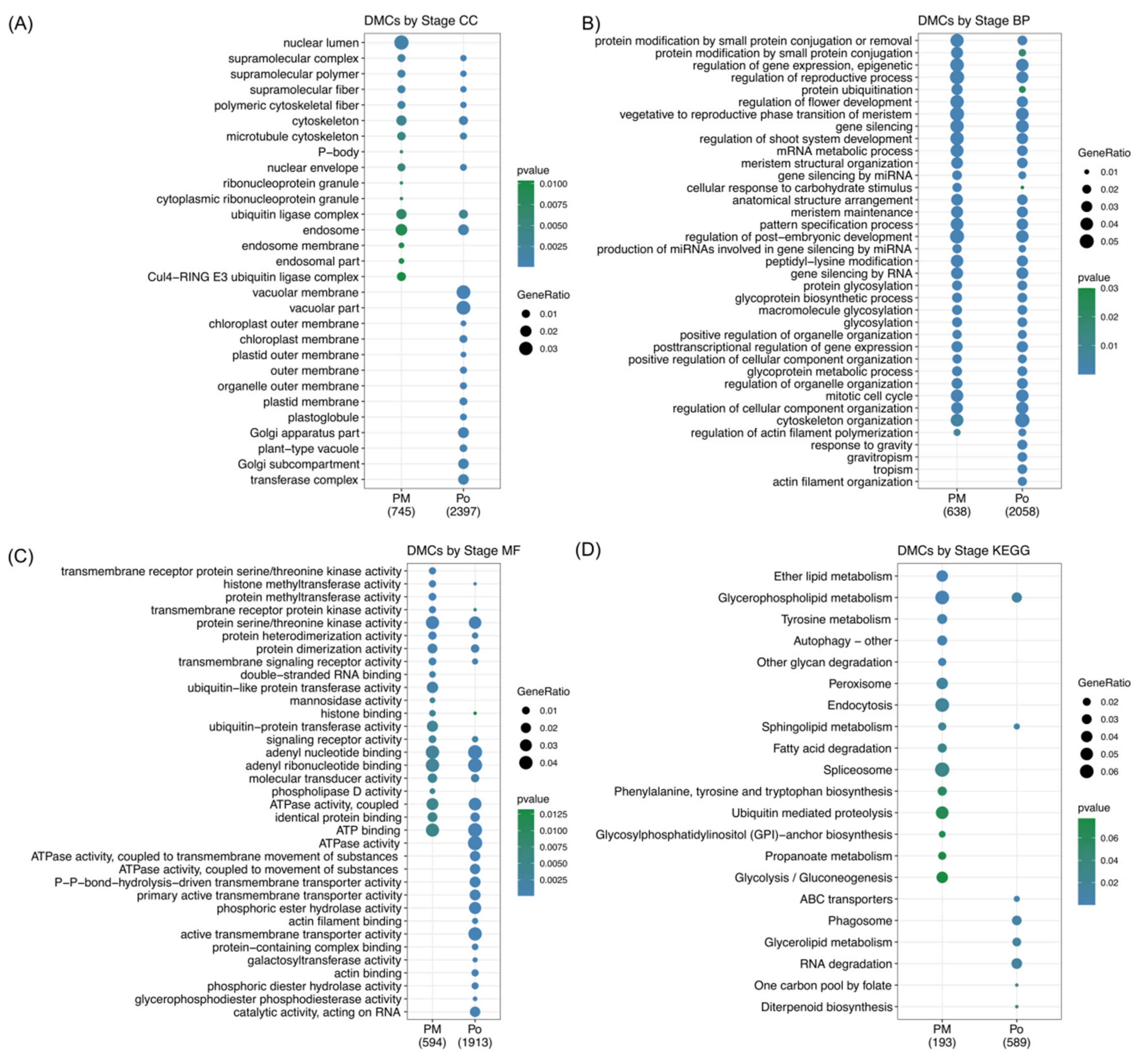 Plants 10 00793 g004