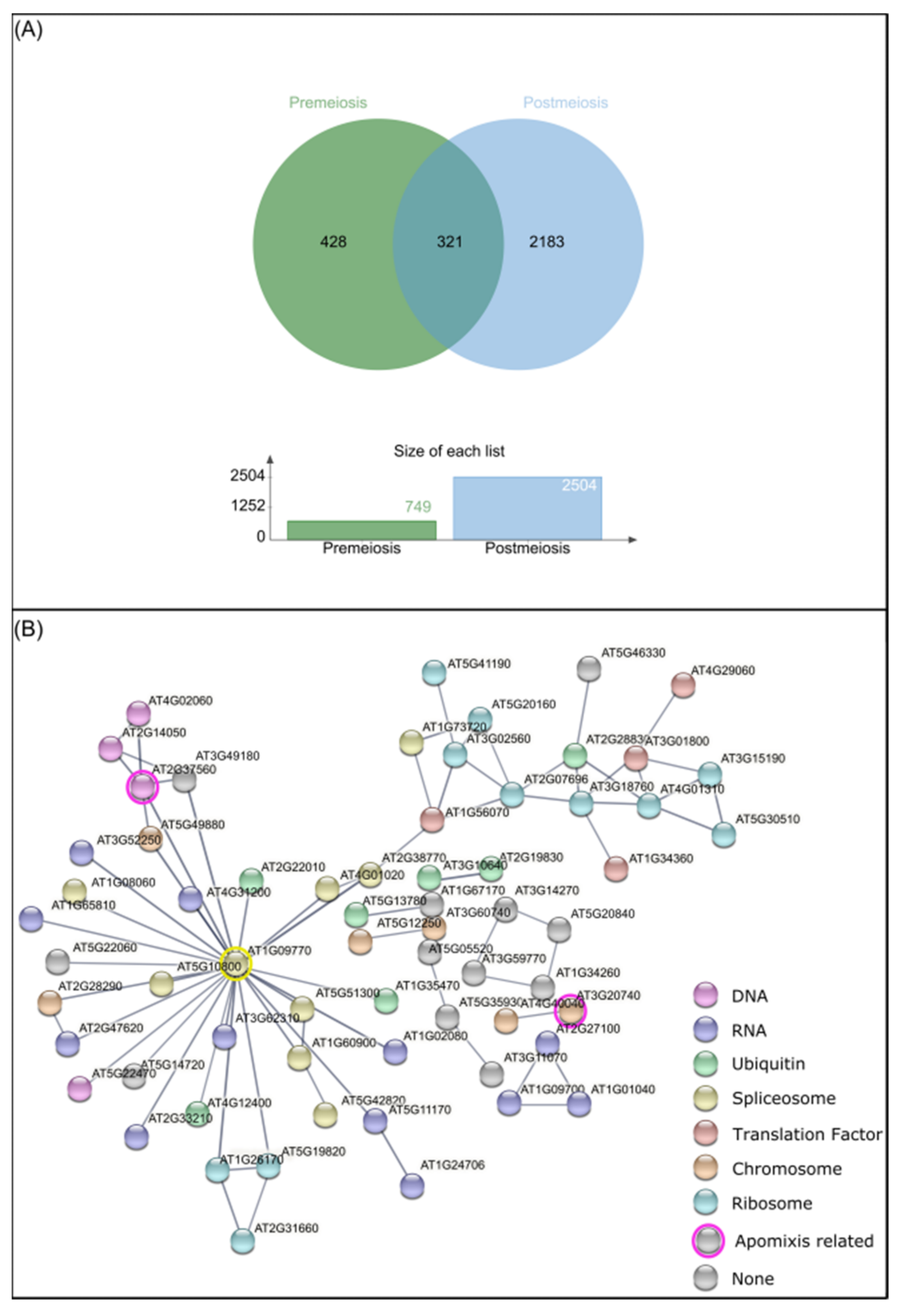 Plants 10 00793 g005