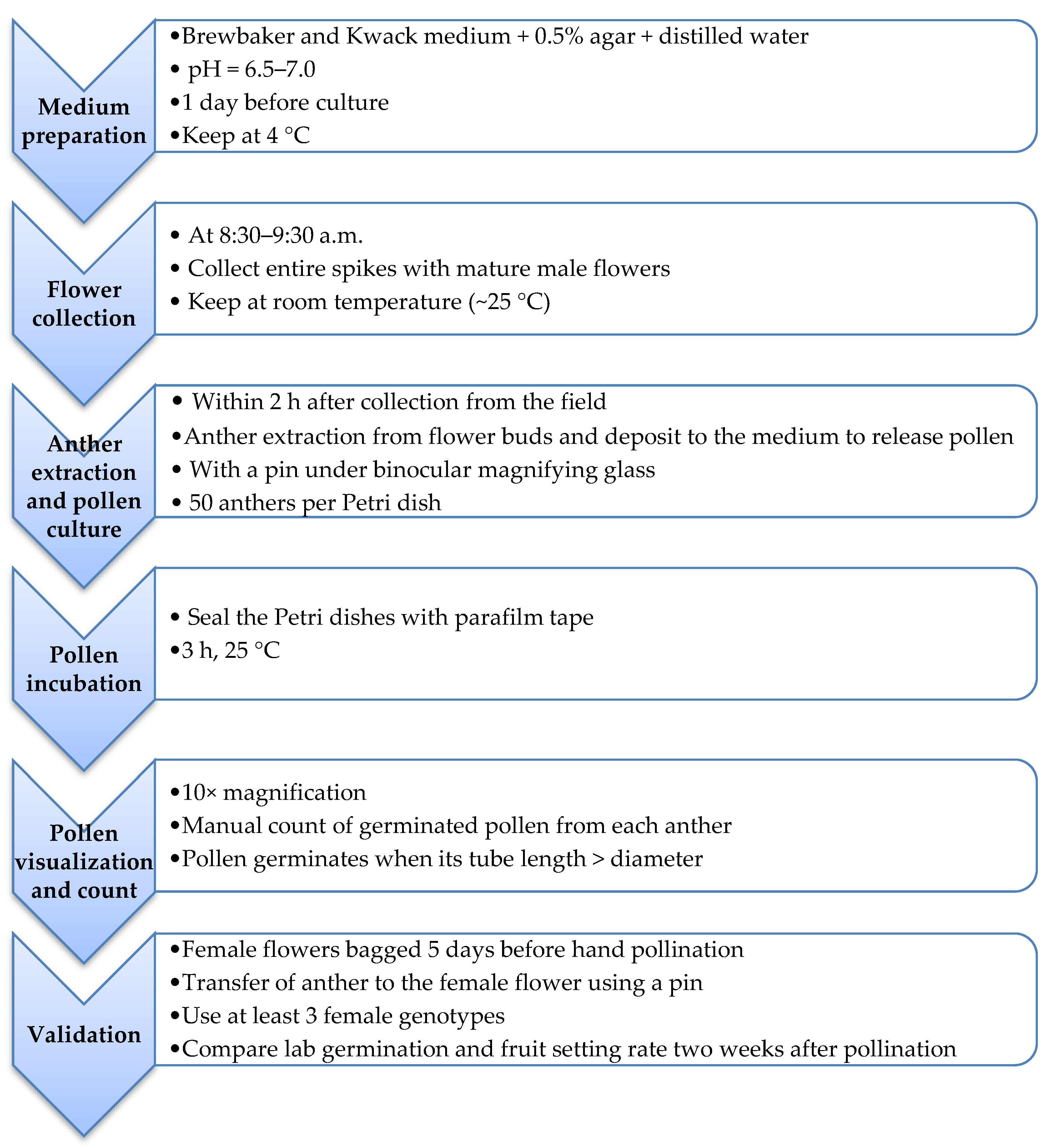Plants 10 00795 g006