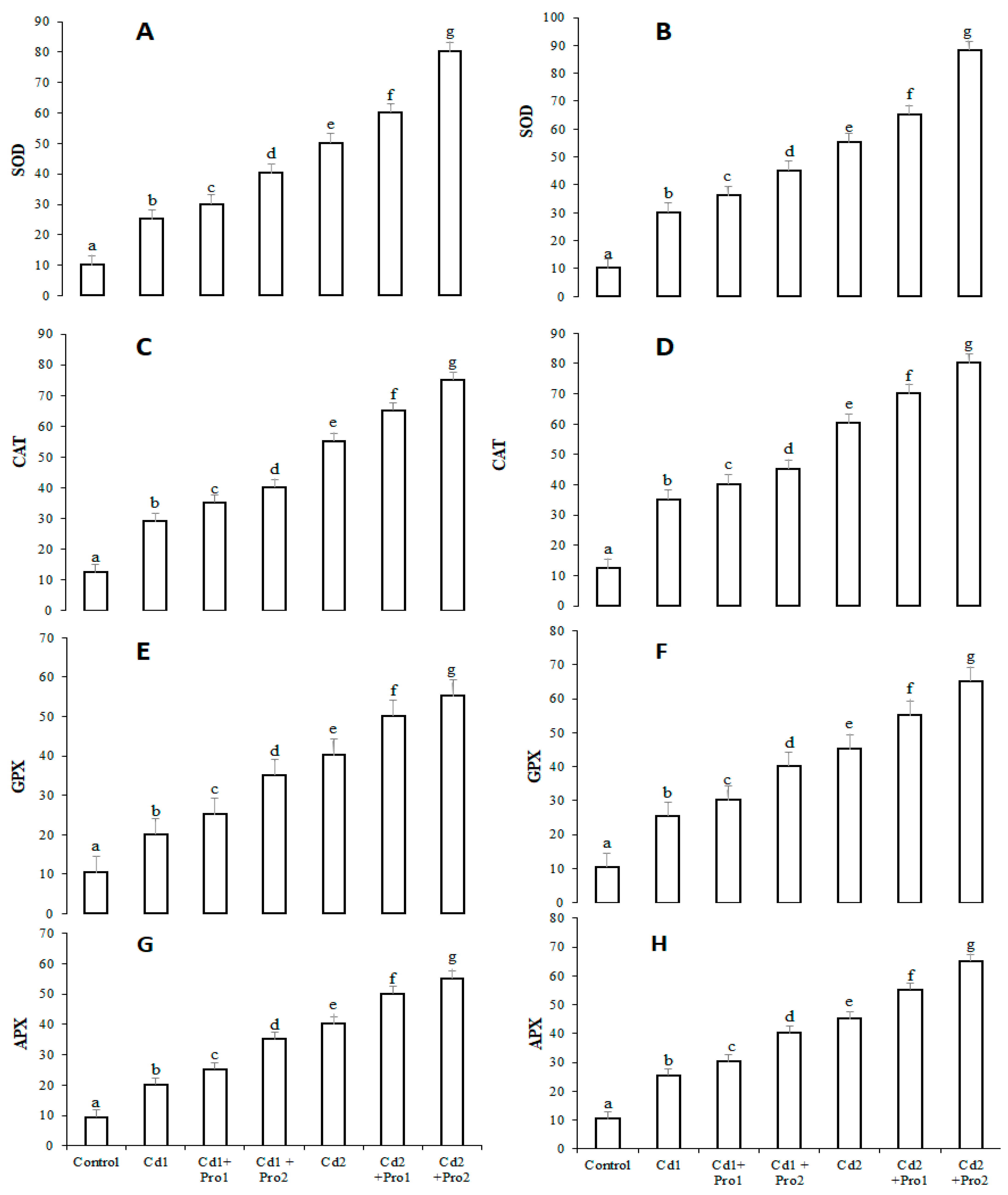 Plants 10 00796 g003