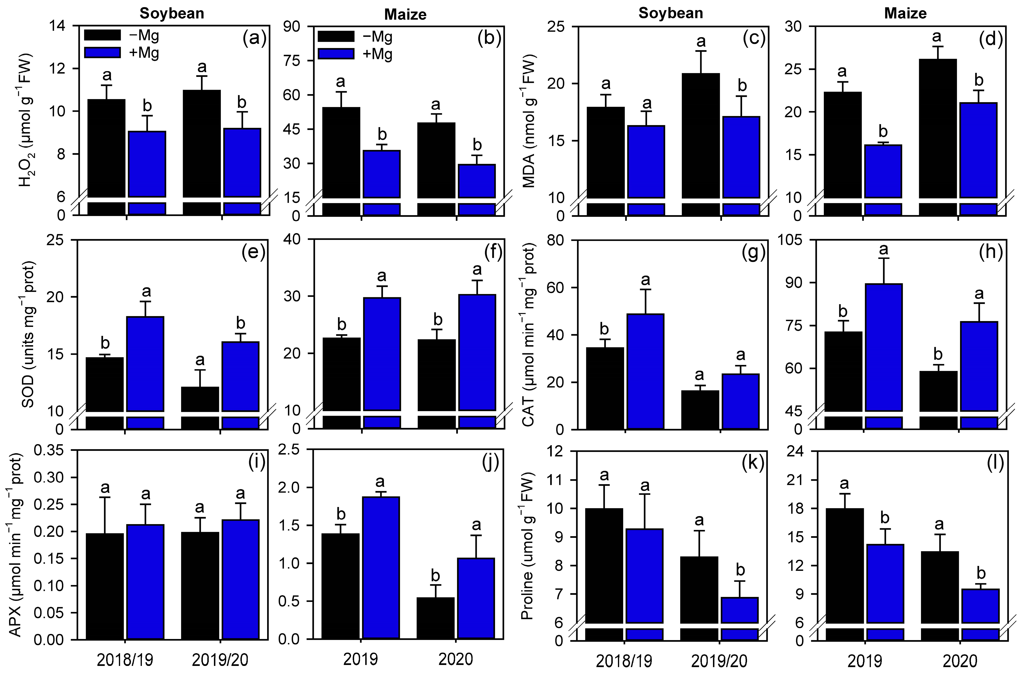 Plants 10 00797 g006
