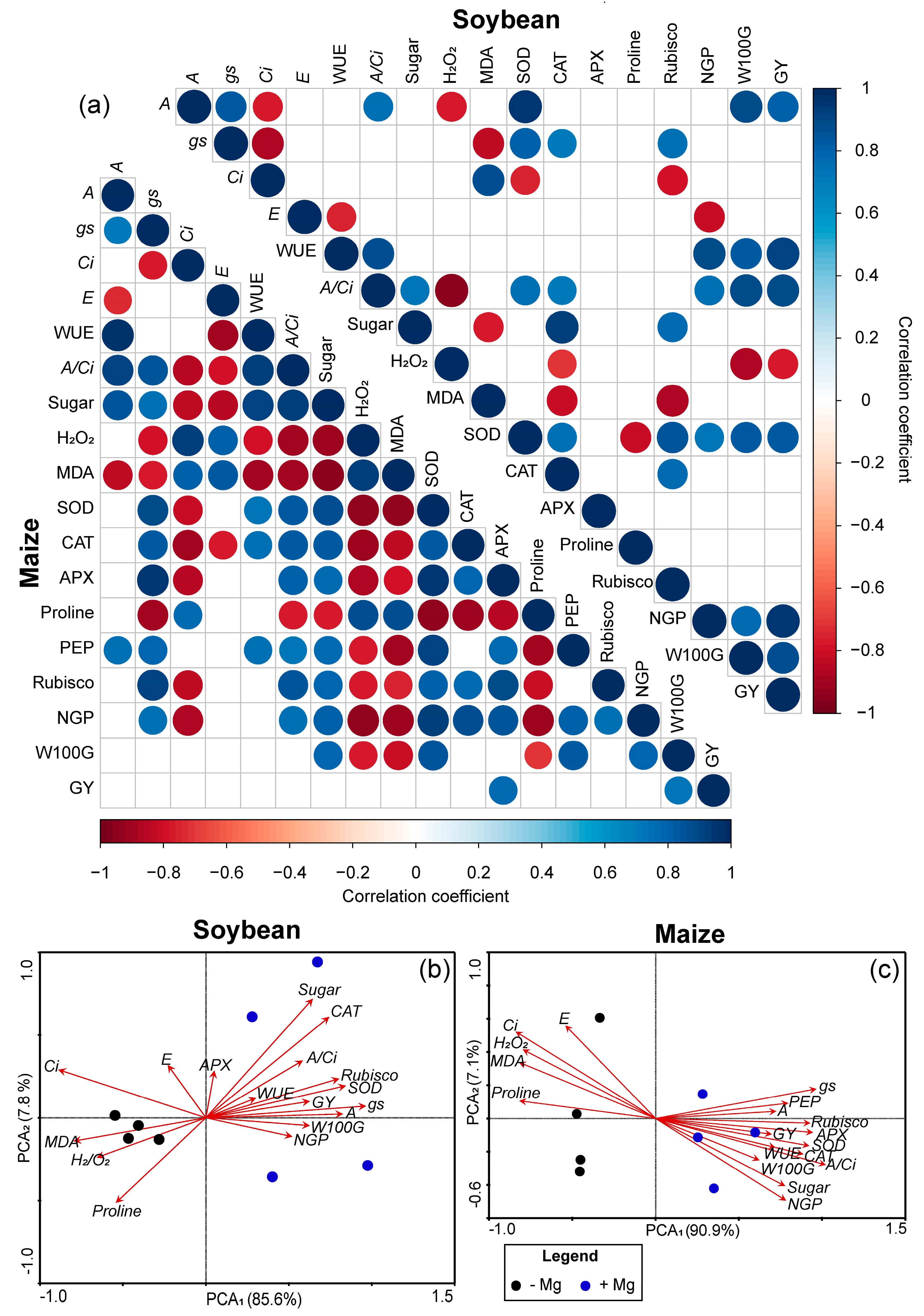 Plants 10 00797 g008