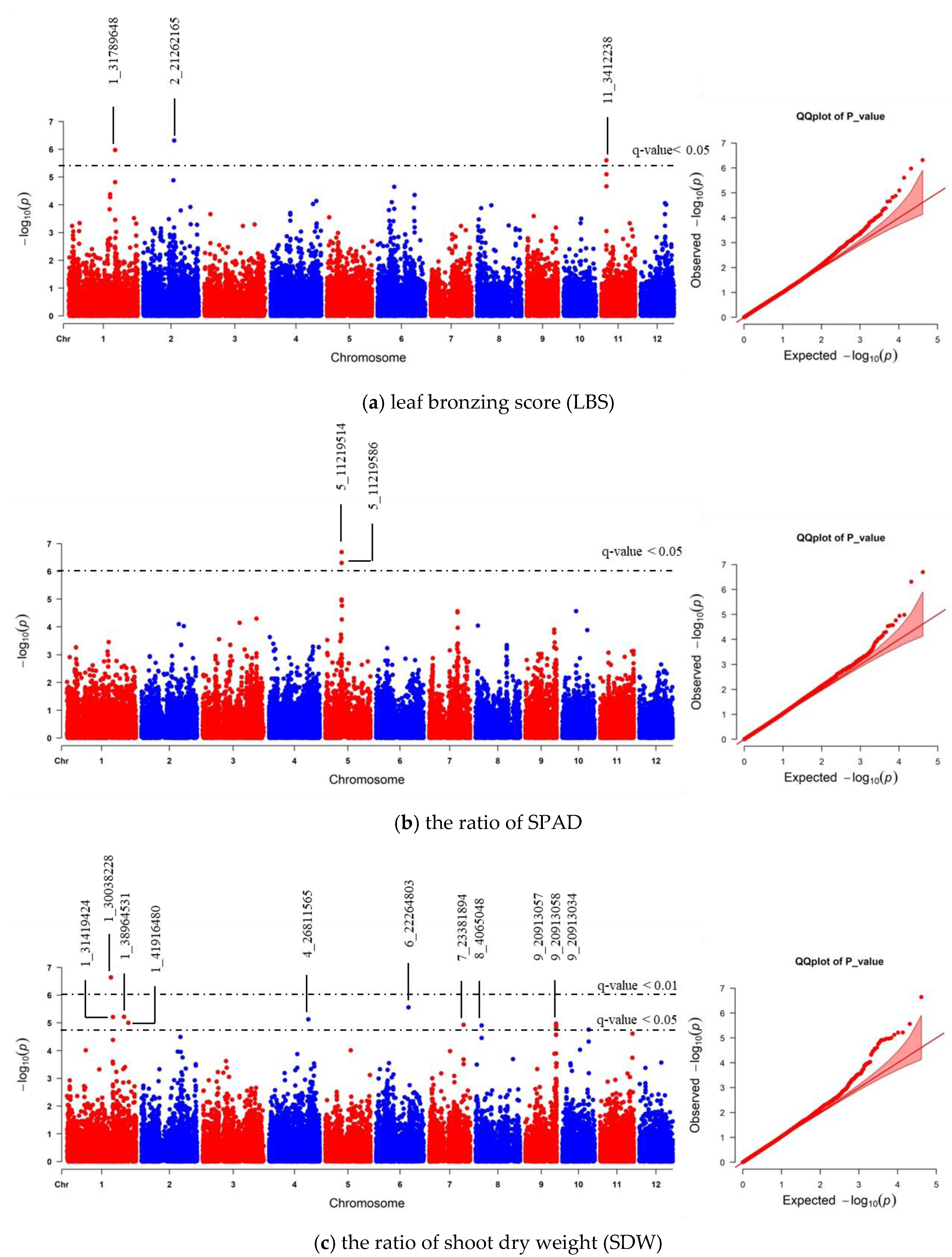 Plants 10 00798 g004 Plants 10 00798 g004