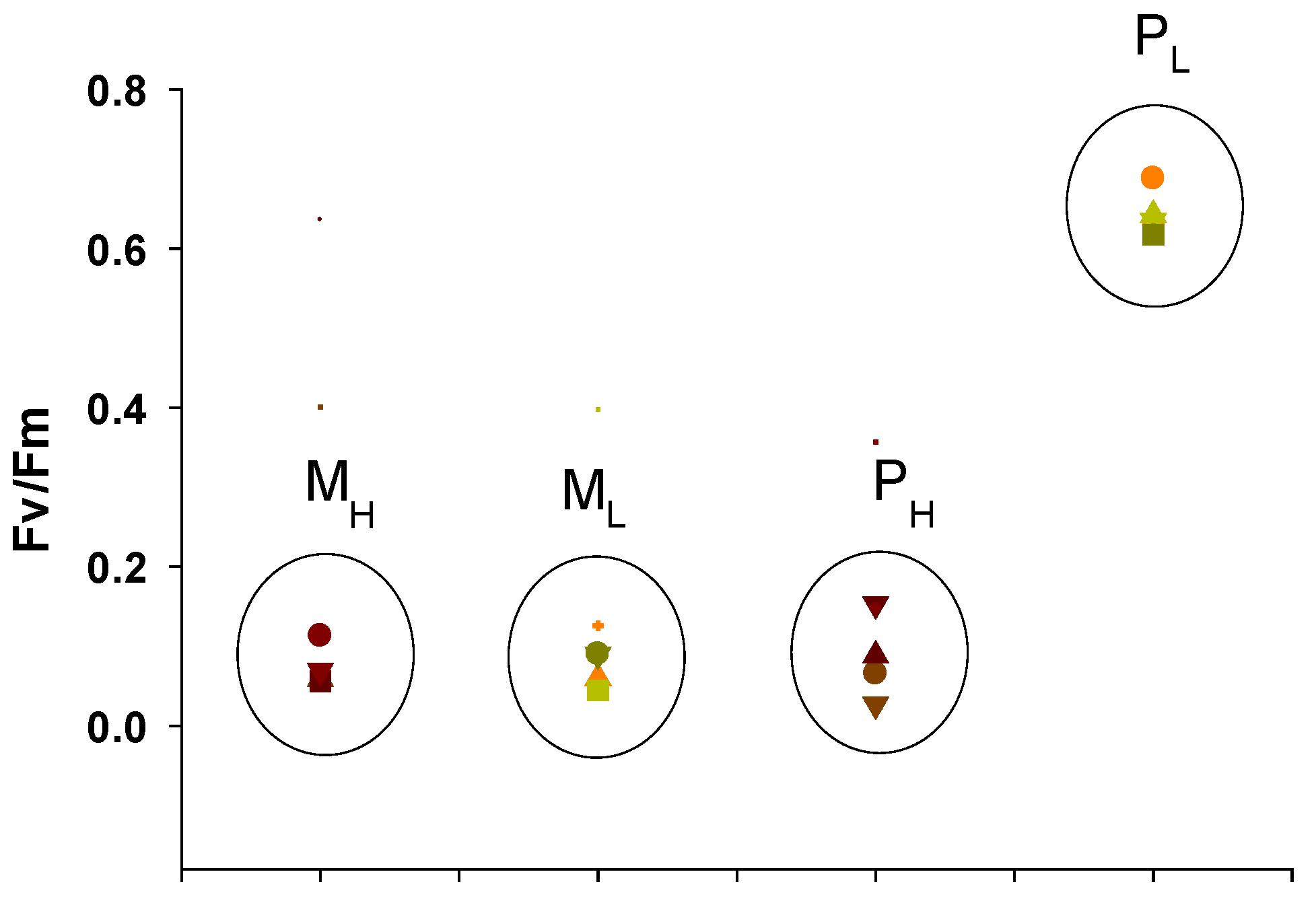 Plants 10 00799 g005 Plants 10 00799 g005