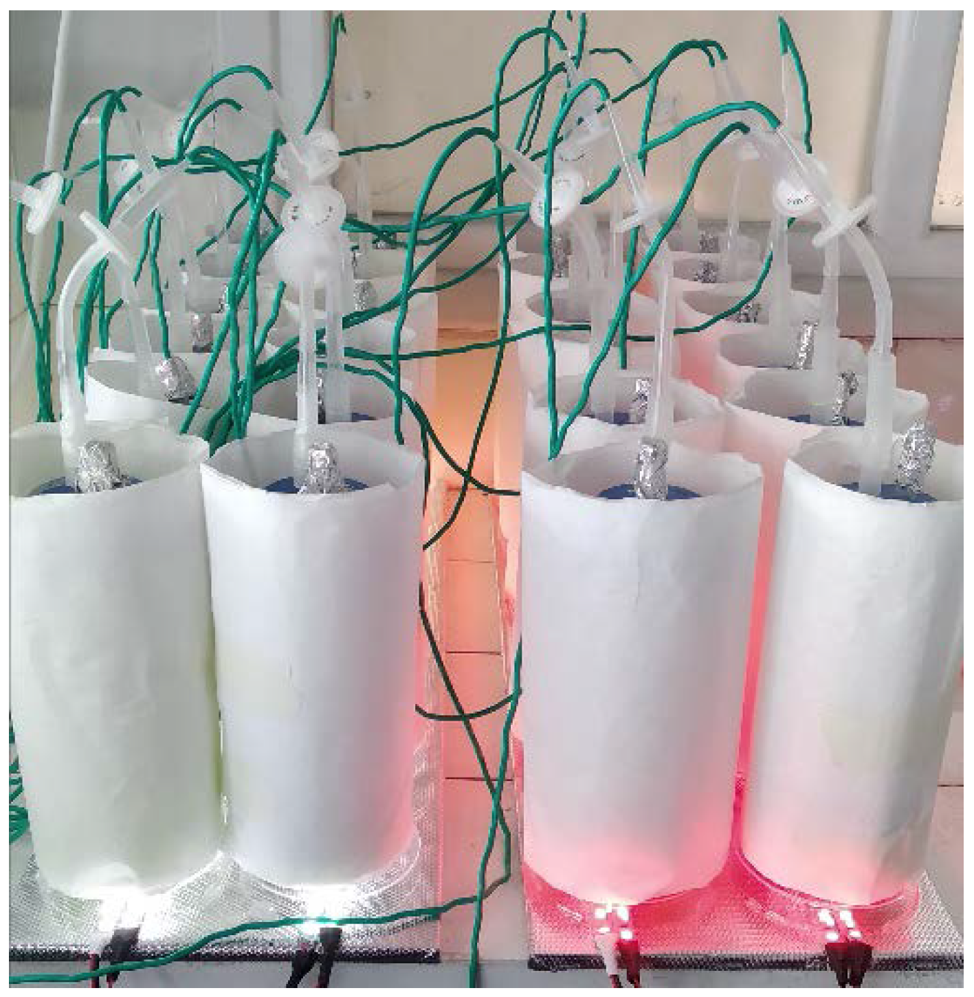 Plants 10 00799 g0a1 Plants 10 00799 g0a1