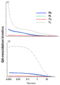 Plants 10 00799 i002 Plants 10 00799 i002