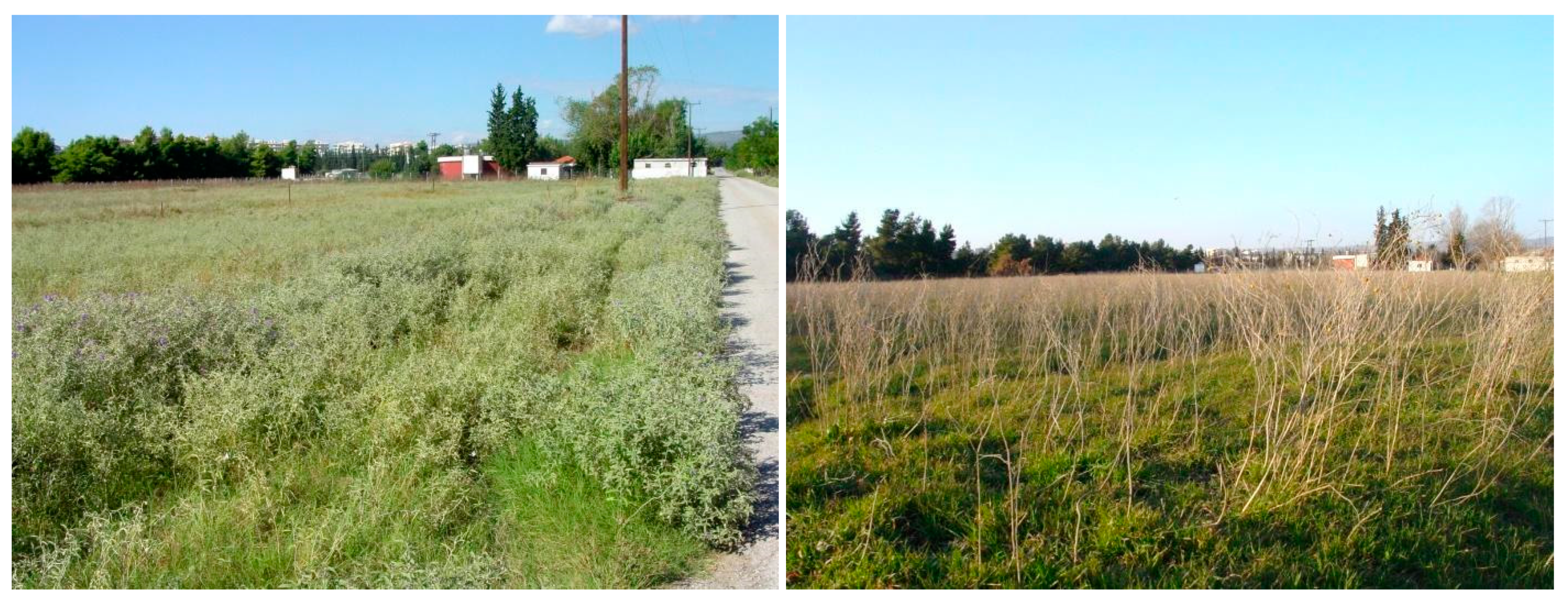 Plants 10 00805 g007 Plants 10 00805 g007