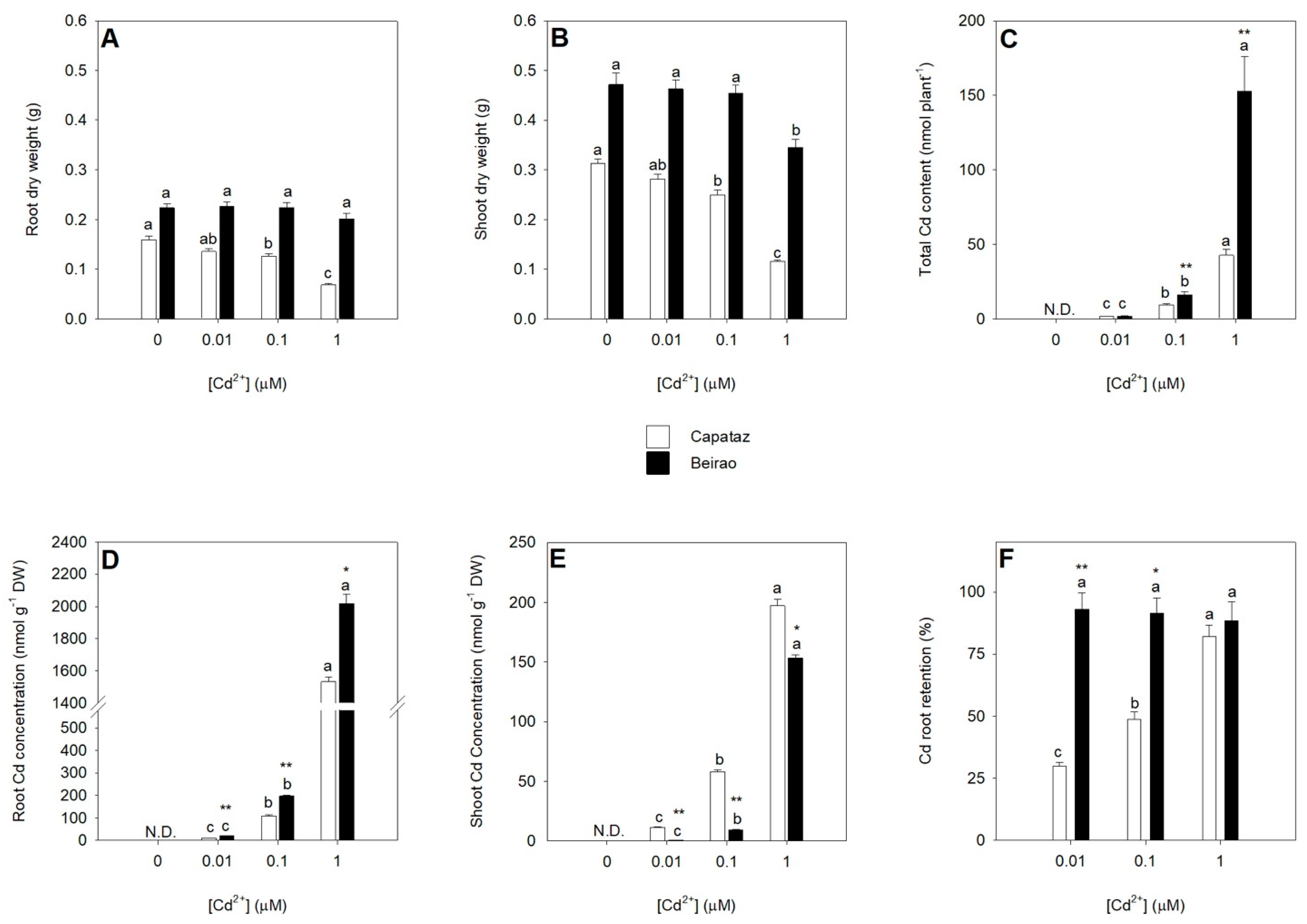 Plants 10 00806 g001