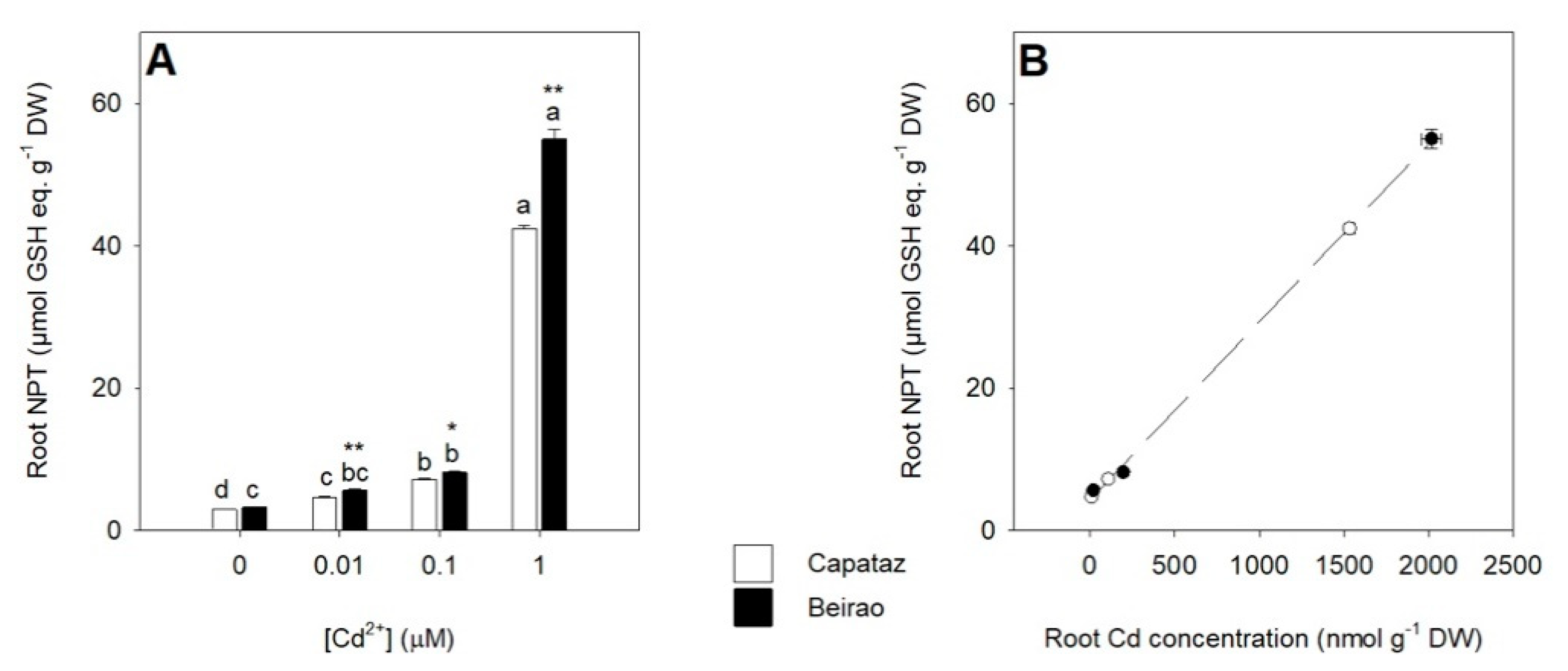 Plants 10 00806 g002
