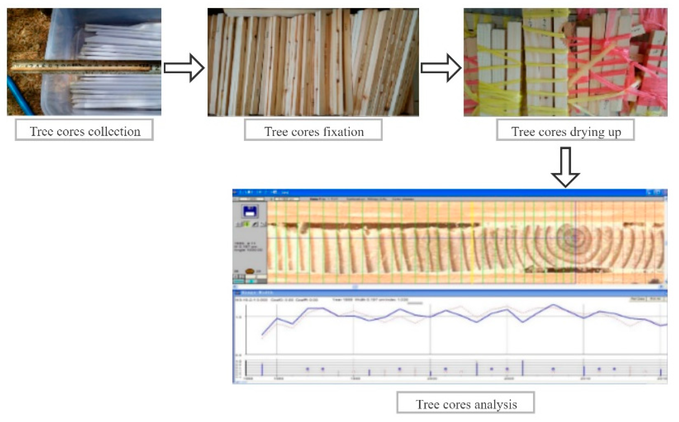 Plants 10 00821 g006