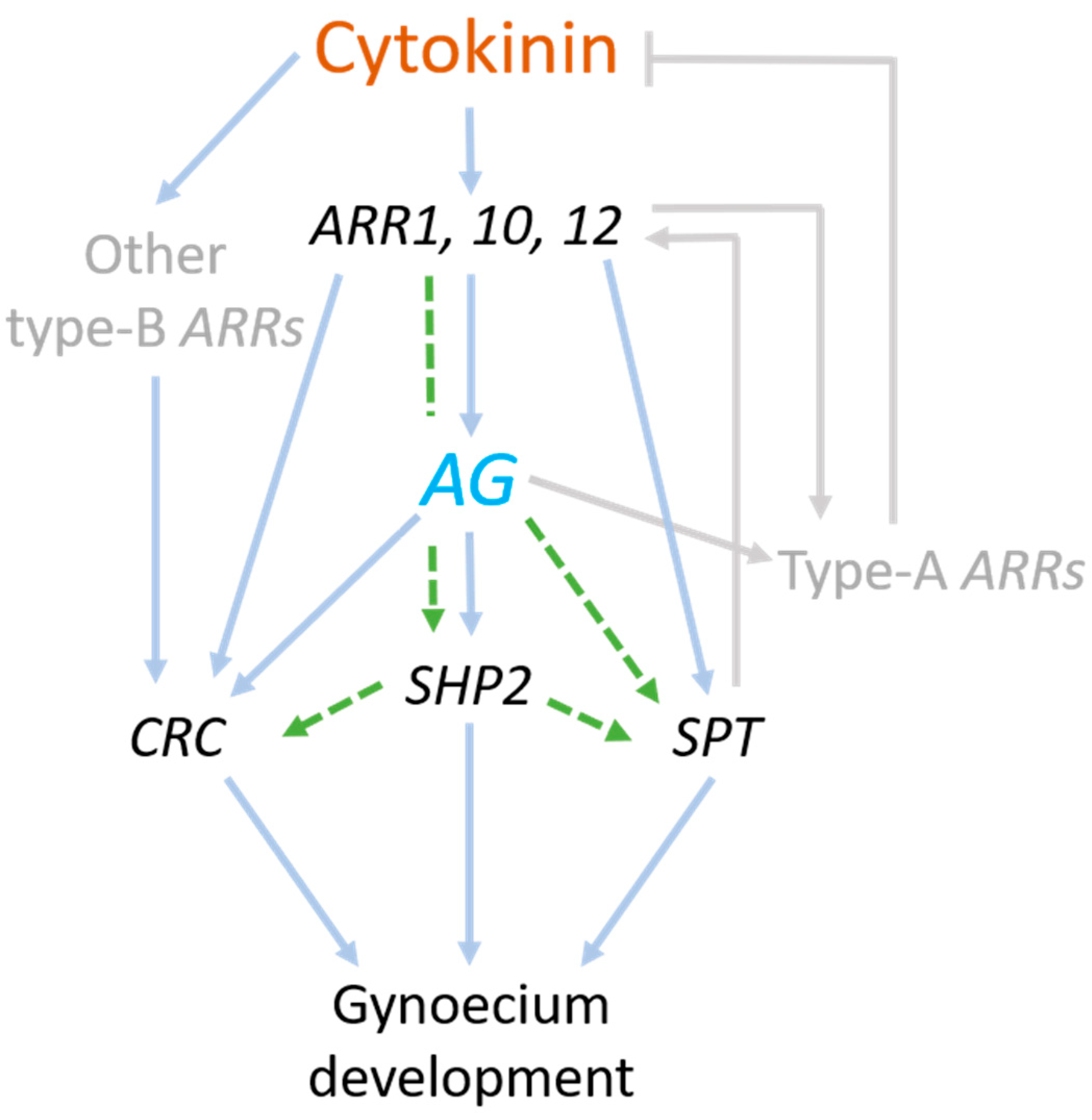 Plants 10 00827 g004 Plants 10 00827 g004
