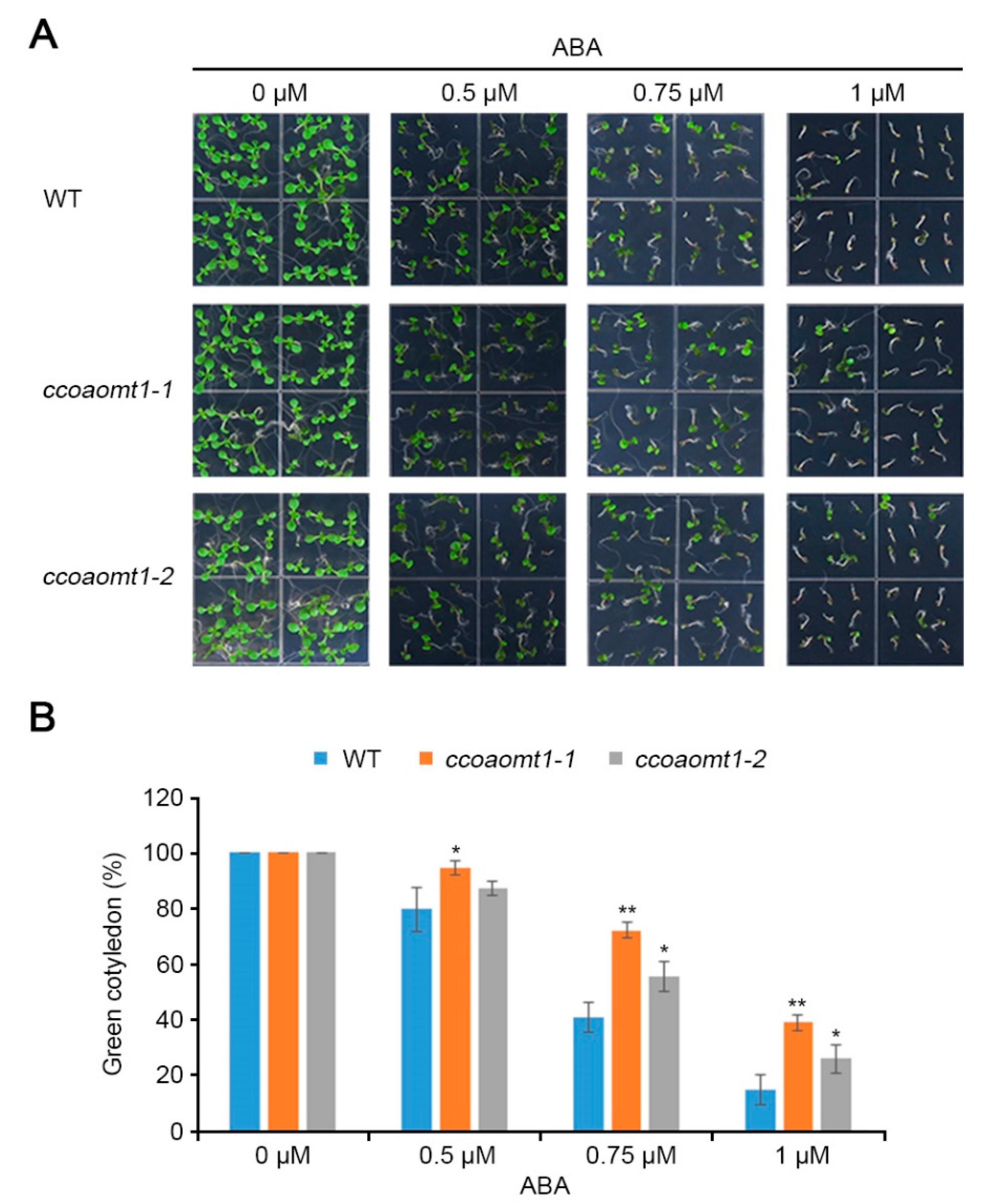 Plants 10 00831 g006