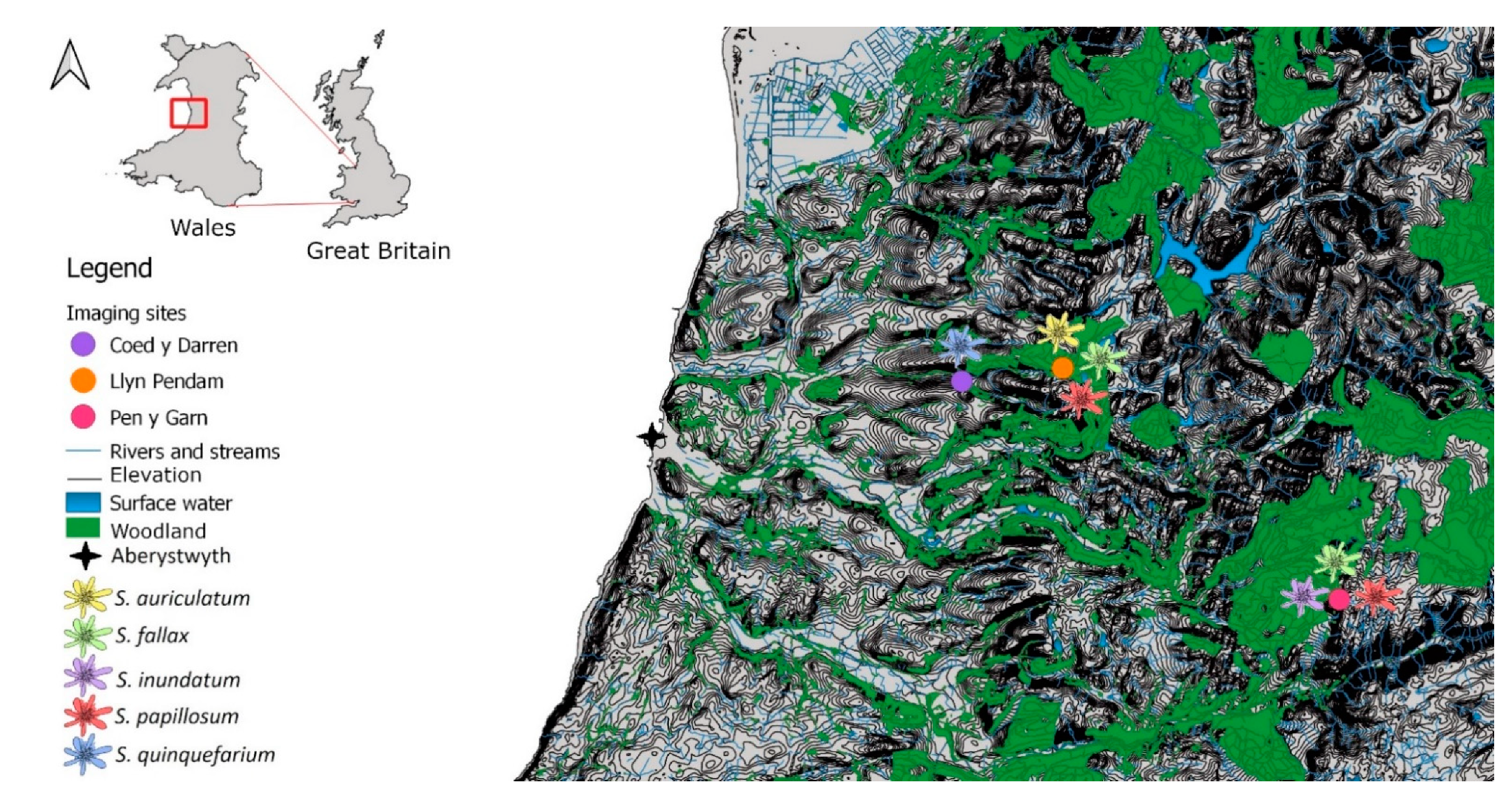 Plants 10 00840 g001