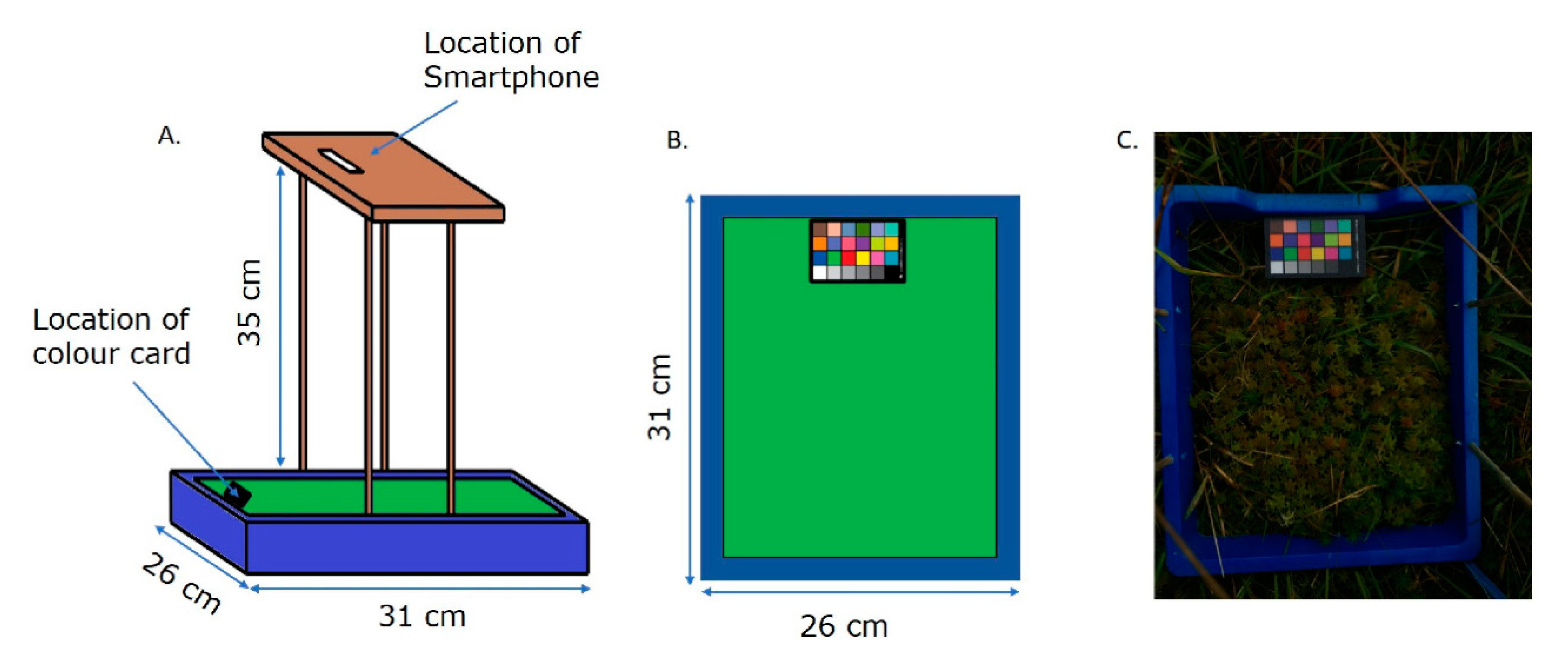 Plants 10 00840 g002