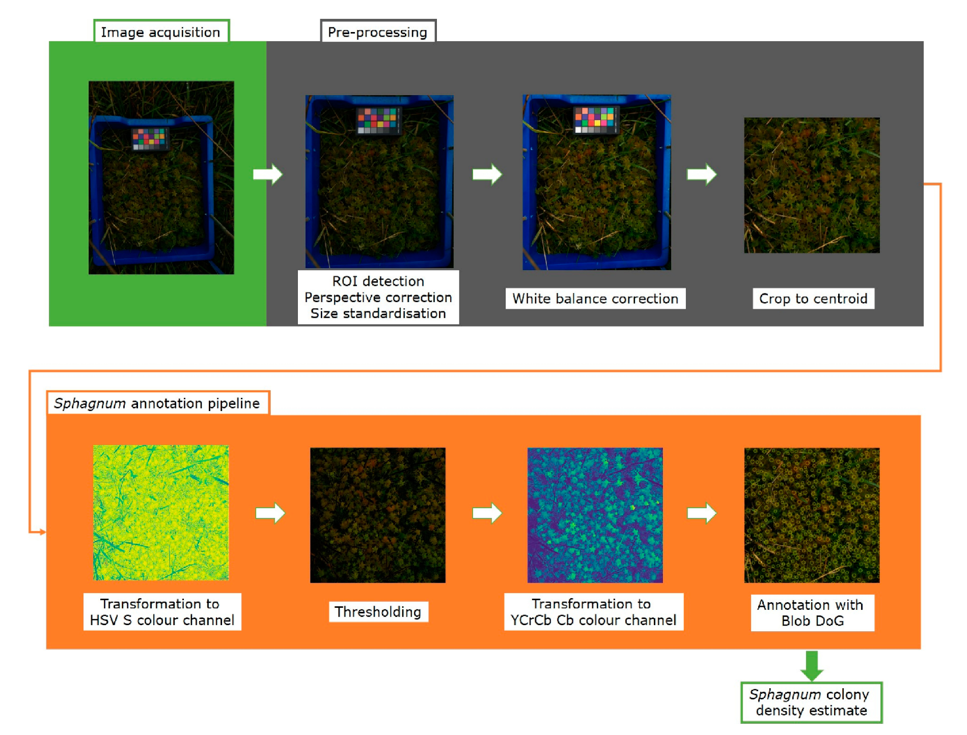 Plants 10 00840 g003