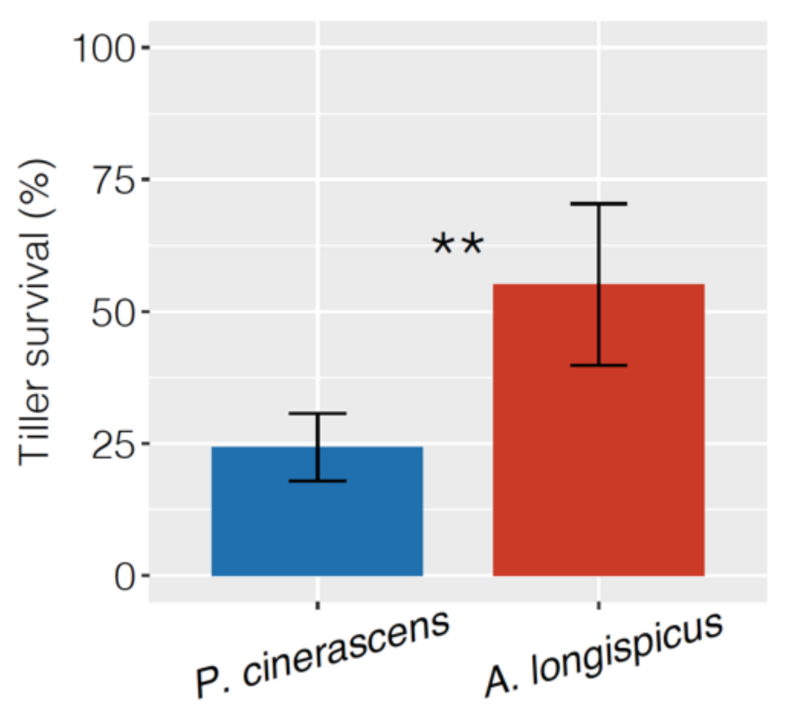 Plants 10 00849 g001