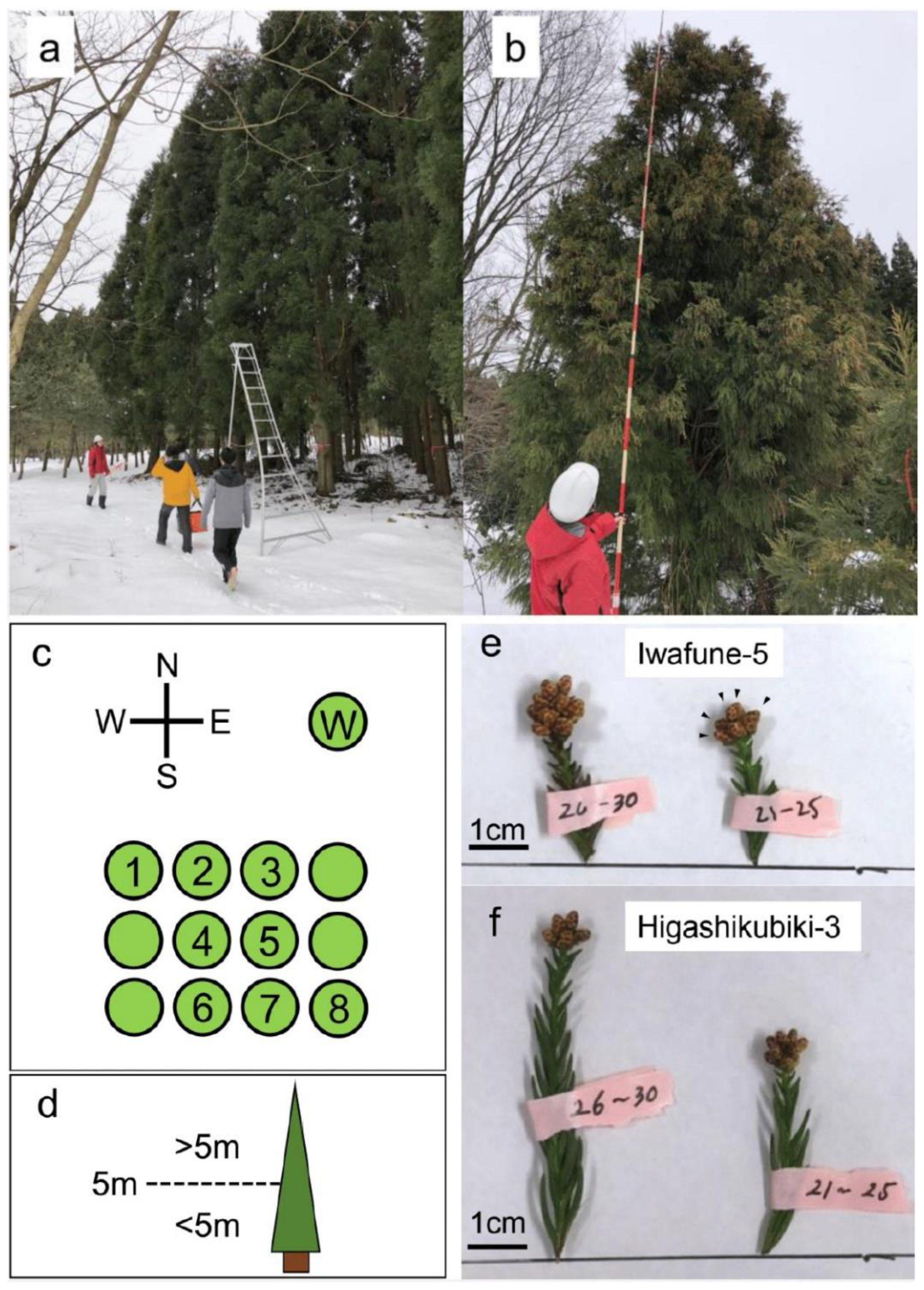 Plants 10 00856 g001 Plants 10 00856 g001