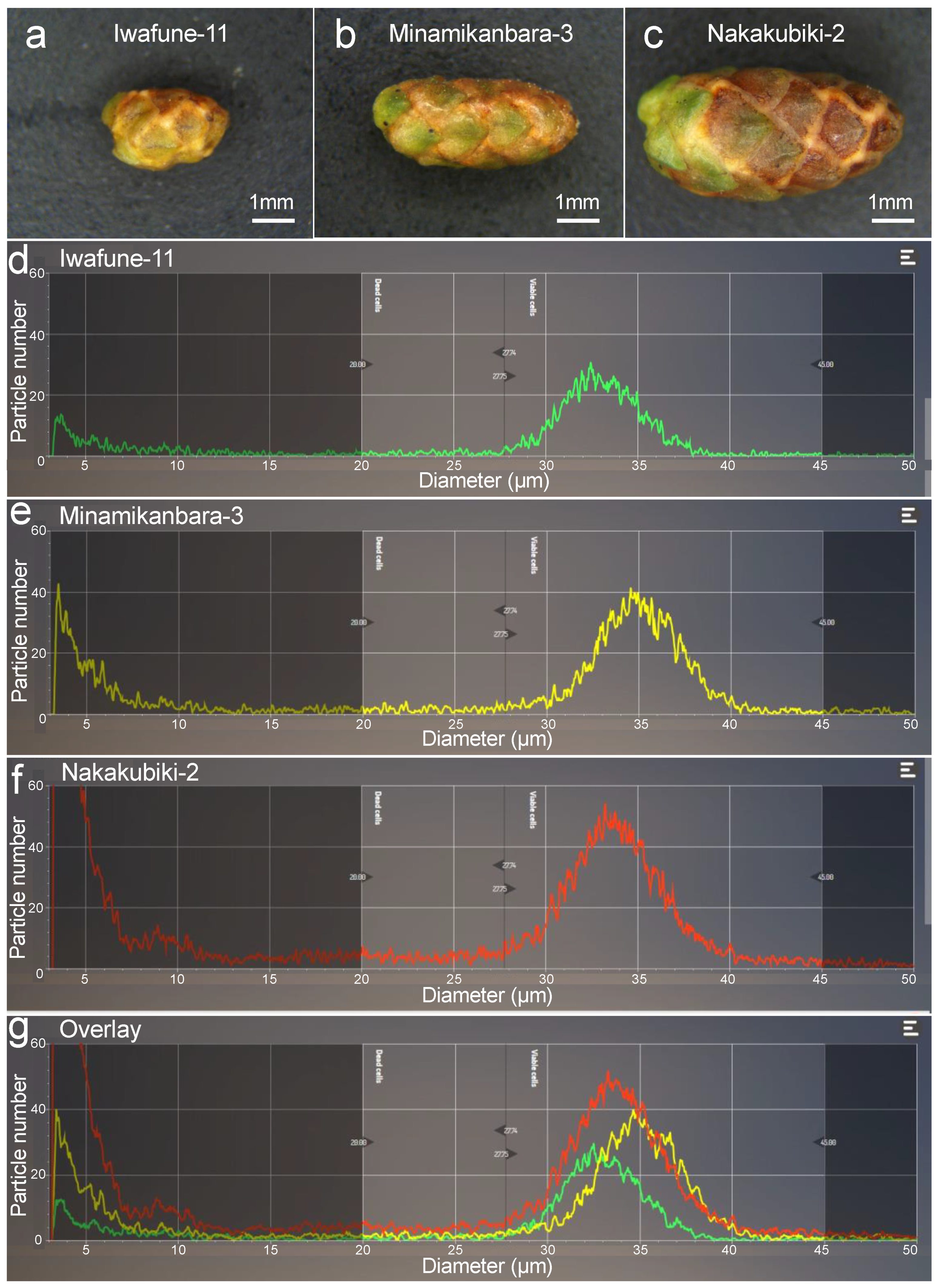 Plants 10 00856 g002 Plants 10 00856 g002