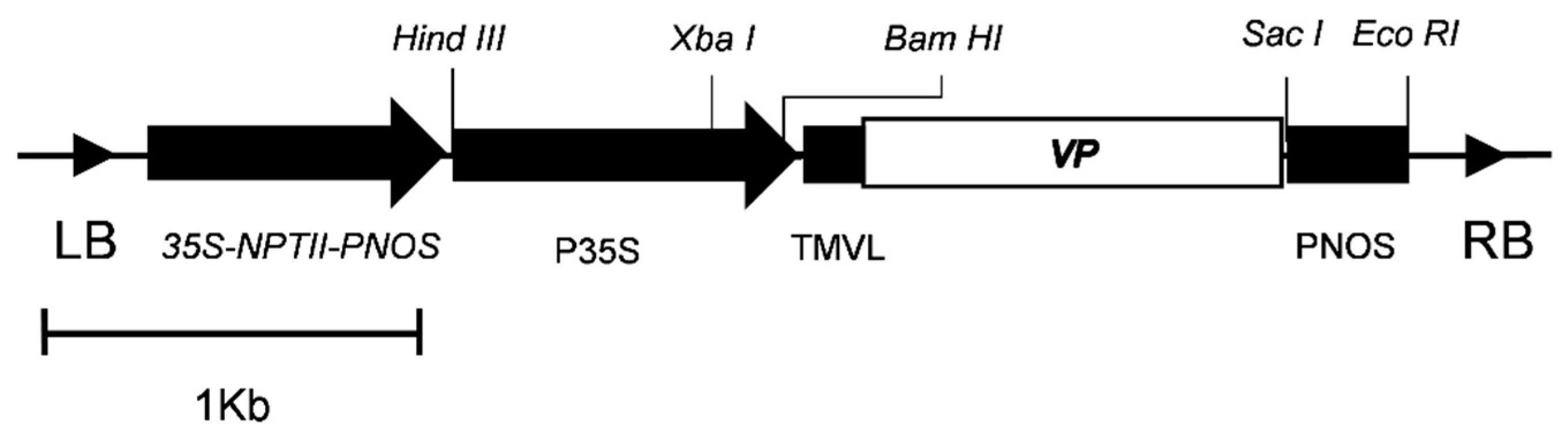 Plants 10 00859 g002