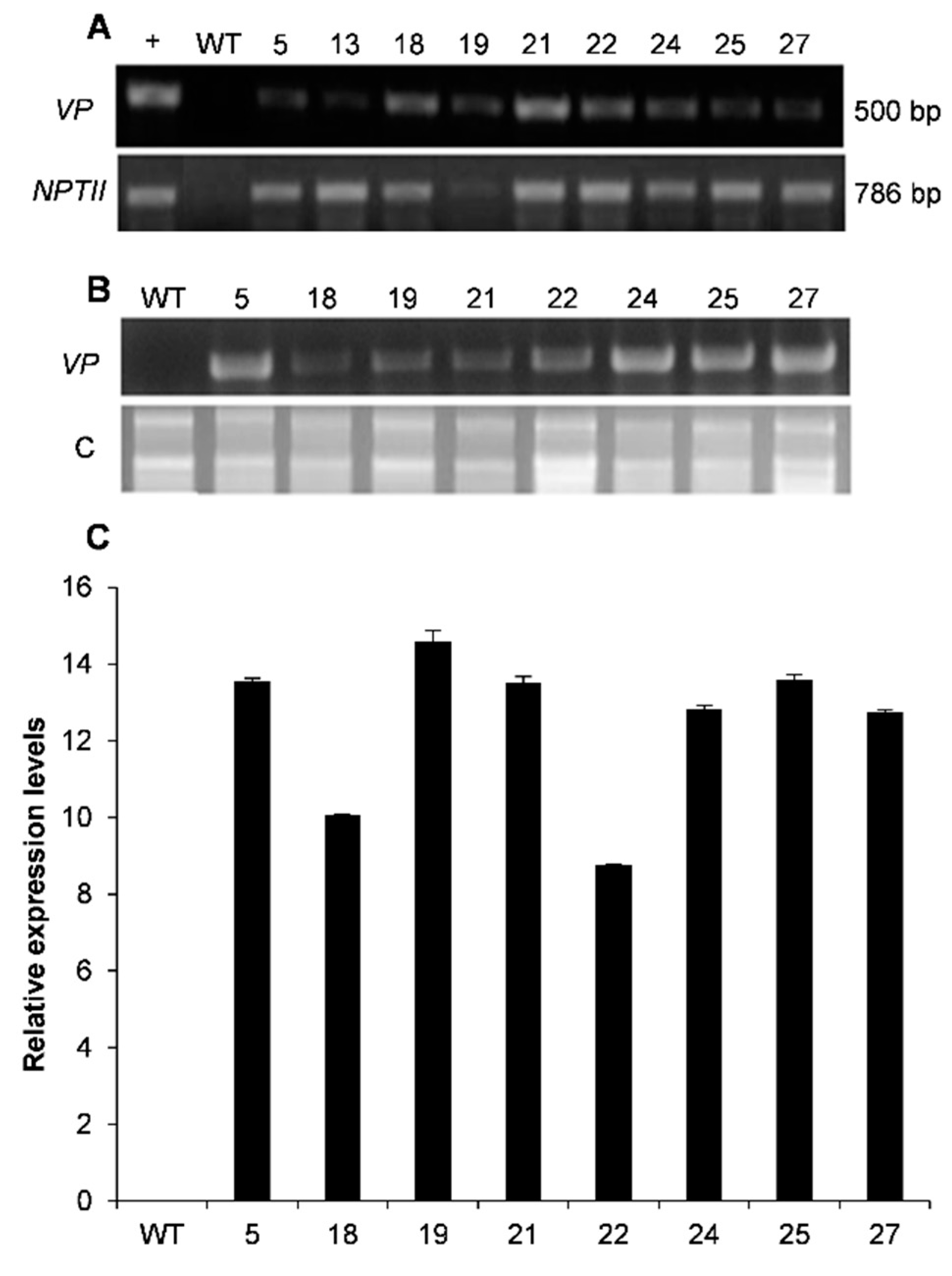 Plants 10 00859 g003