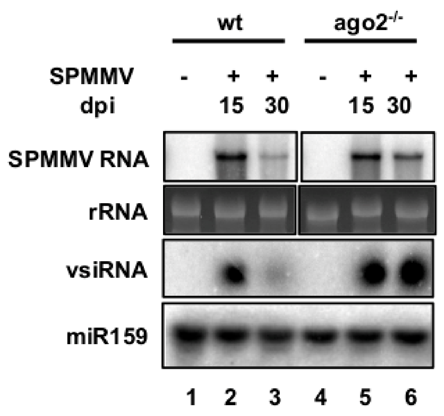 Plants 10 00867 g002