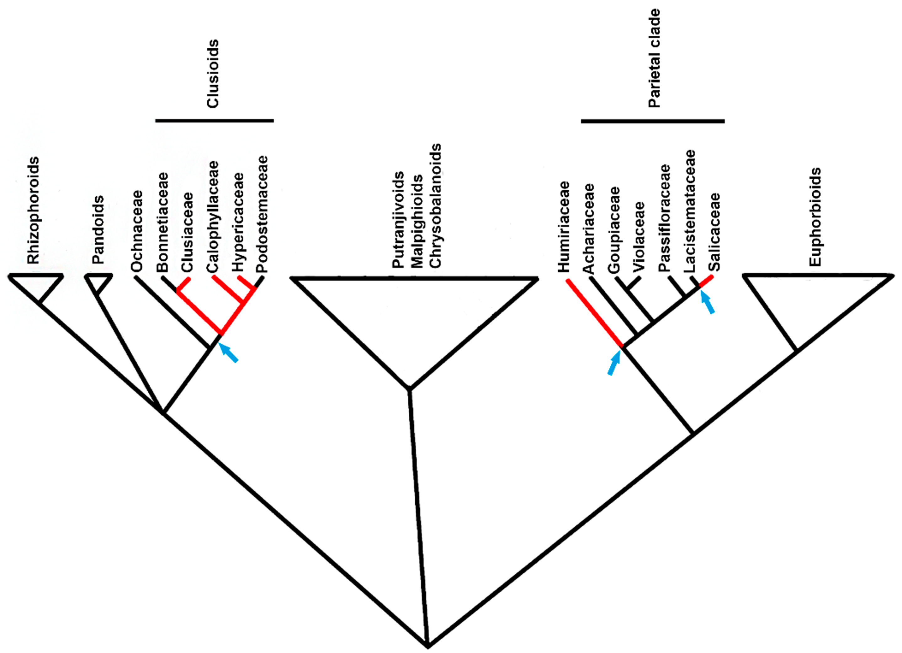 Plants 10 00877 g006