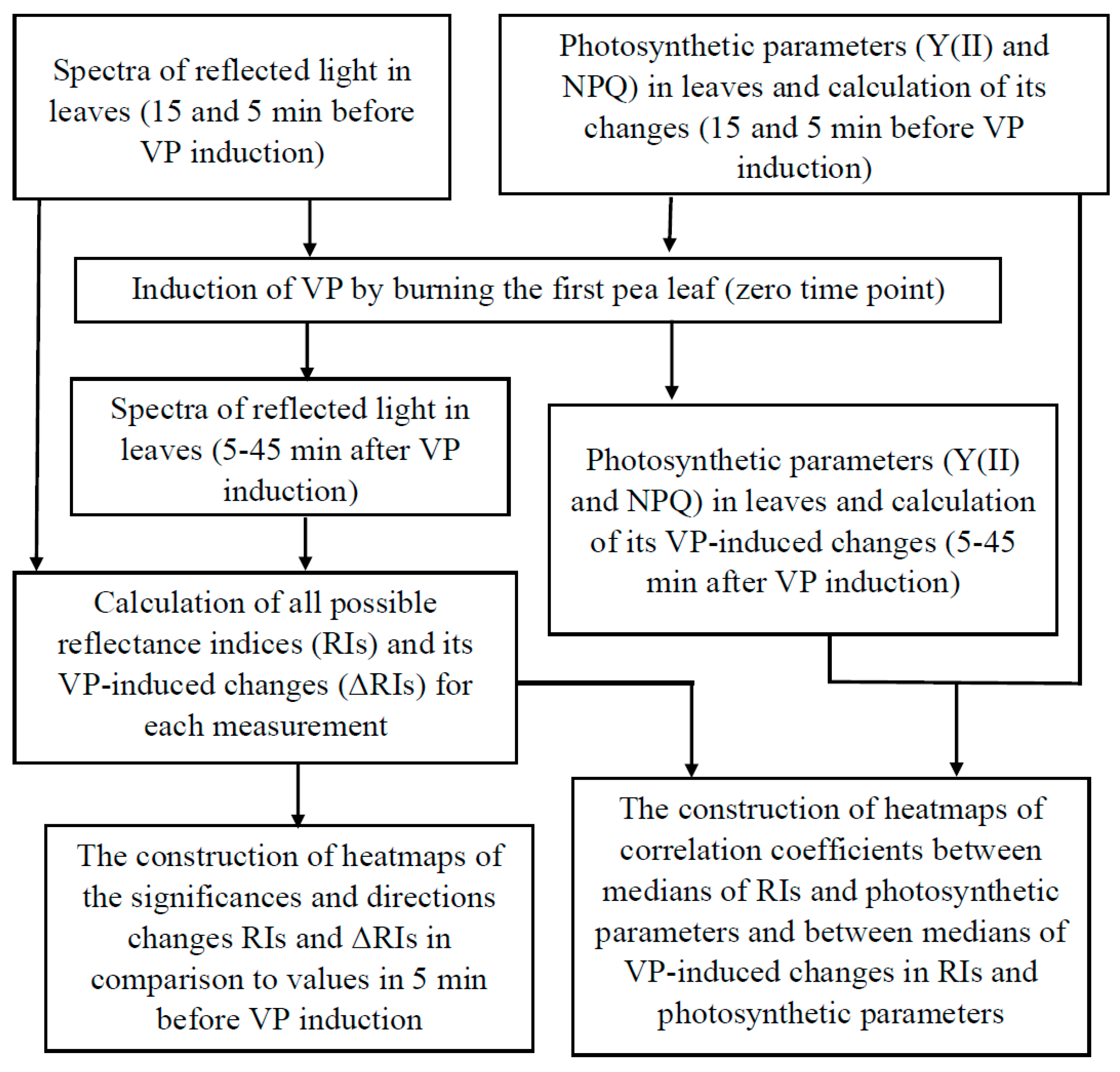 Plants 10 00878 g001 Plants 10 00878 g001
