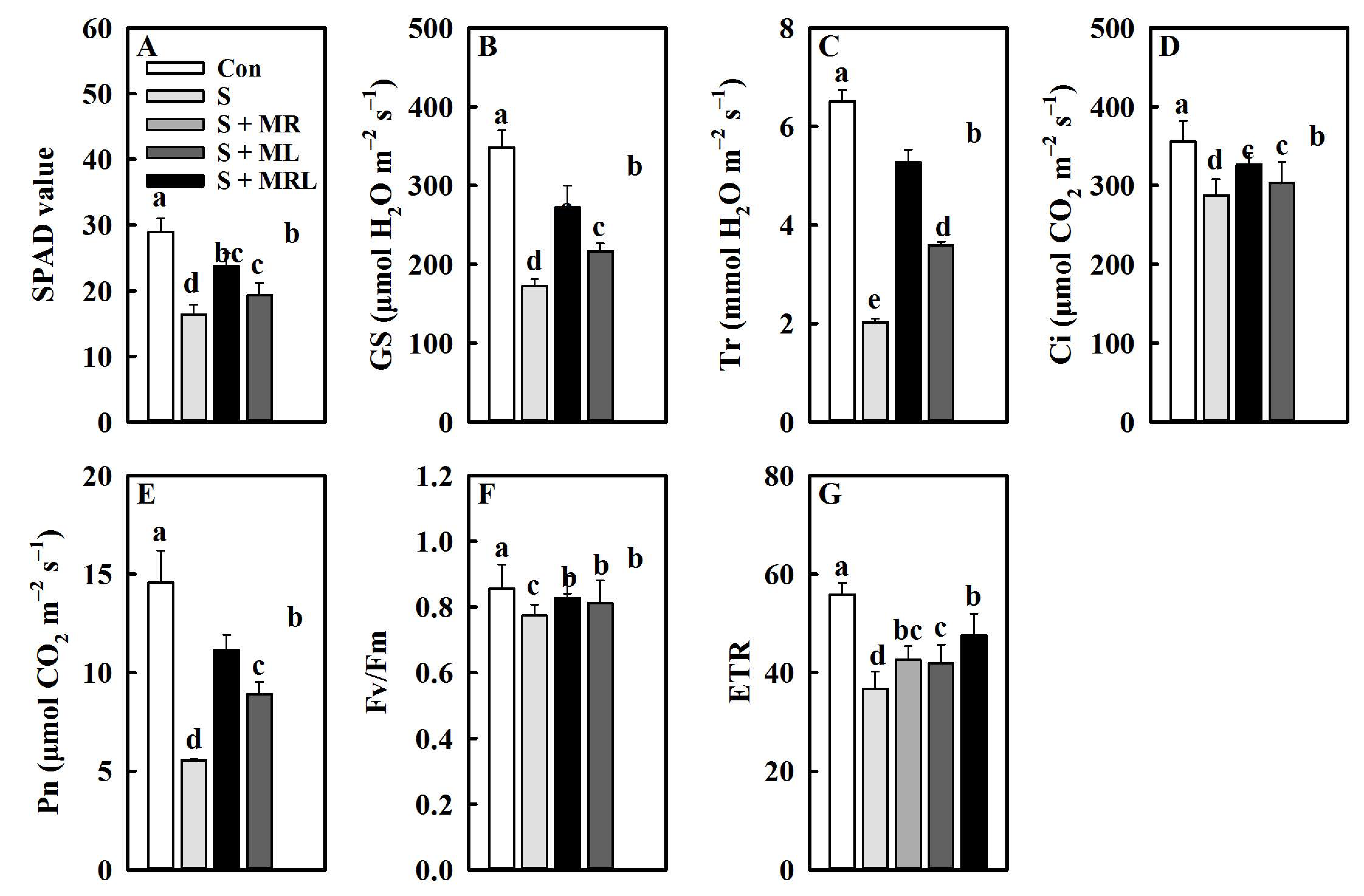Plants 10 00886 g002 Plants 10 00886 g002