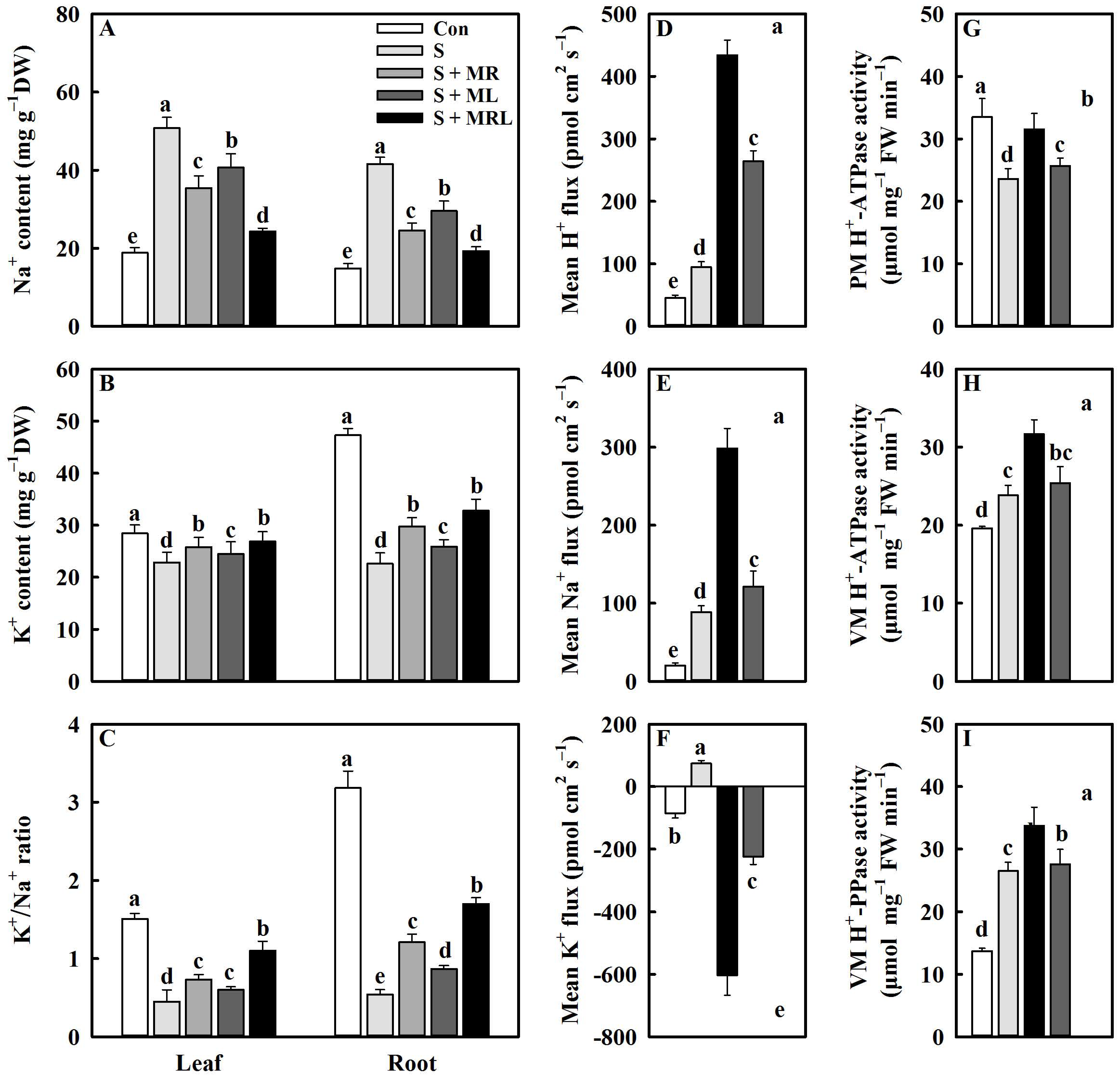 Plants 10 00886 g004 Plants 10 00886 g004