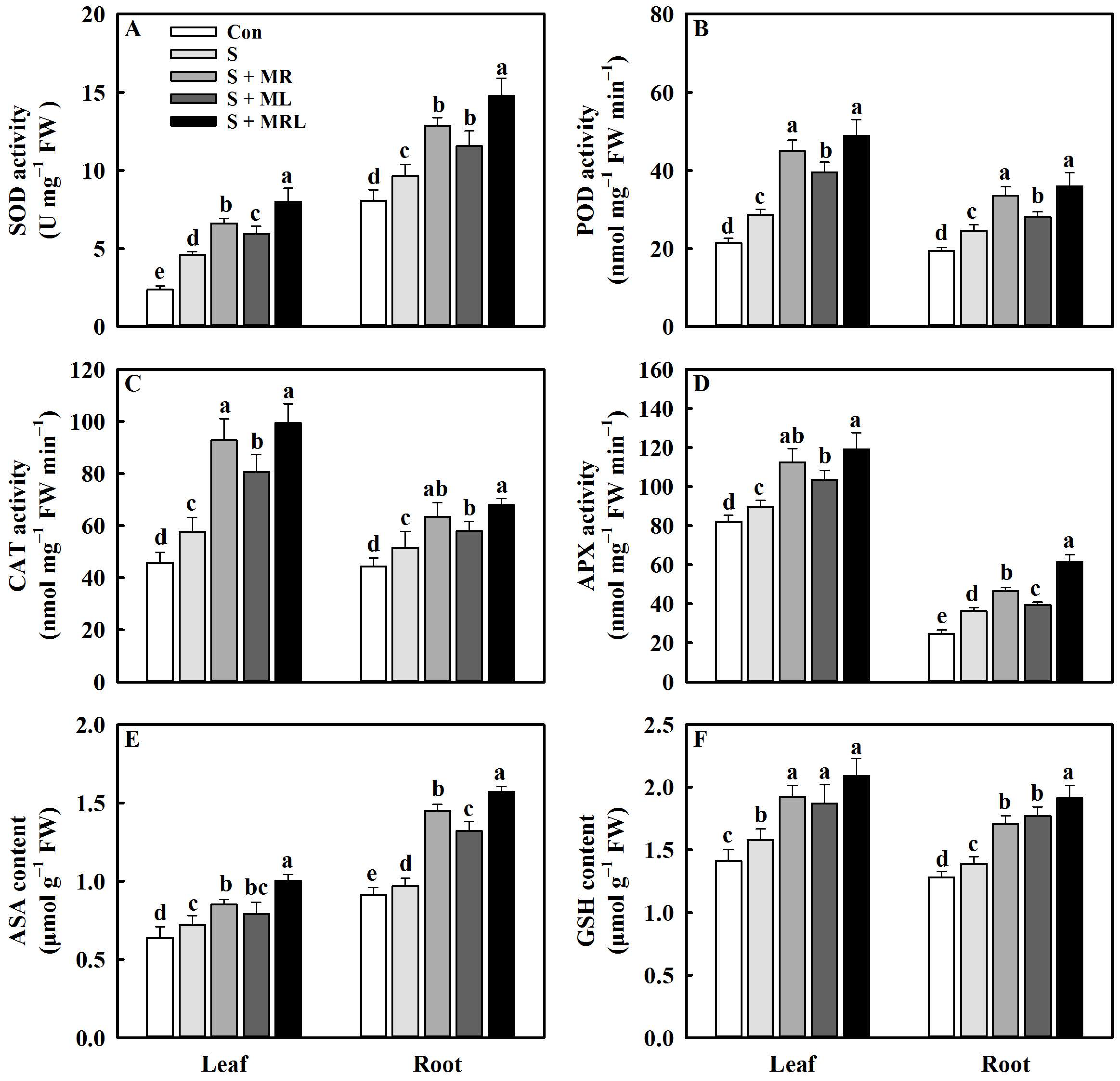 Plants 10 00886 g006 Plants 10 00886 g006