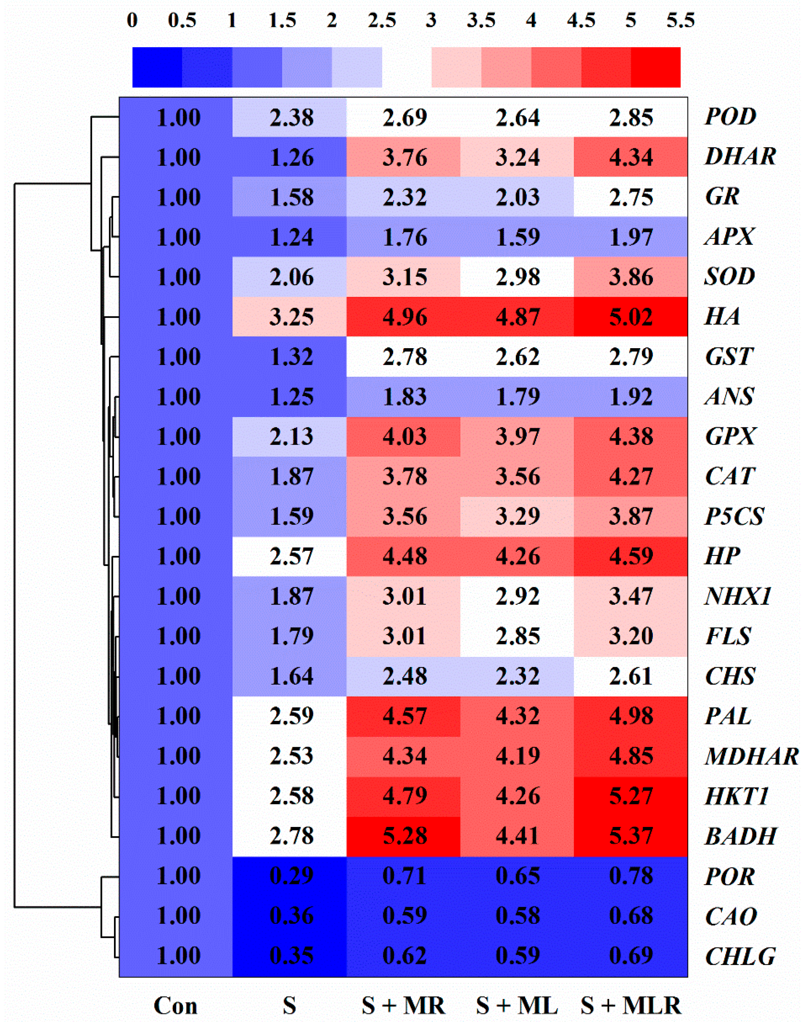 Plants 10 00886 g008 Plants 10 00886 g008