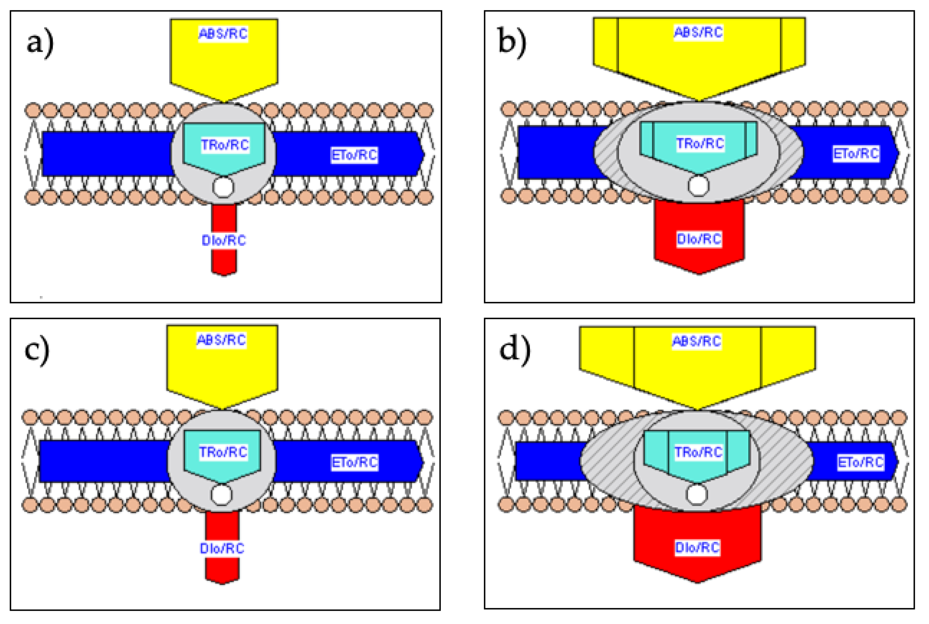 Plants 10 00887 g005 Plants 10 00887 g005