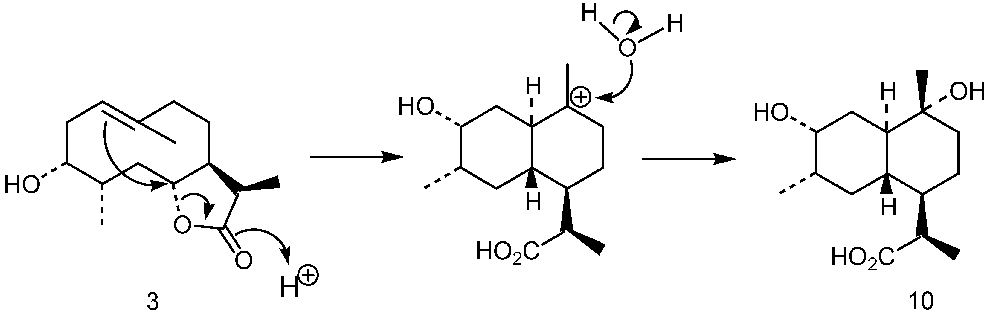 Plants 10 00891 g001 Plants 10 00891 g001