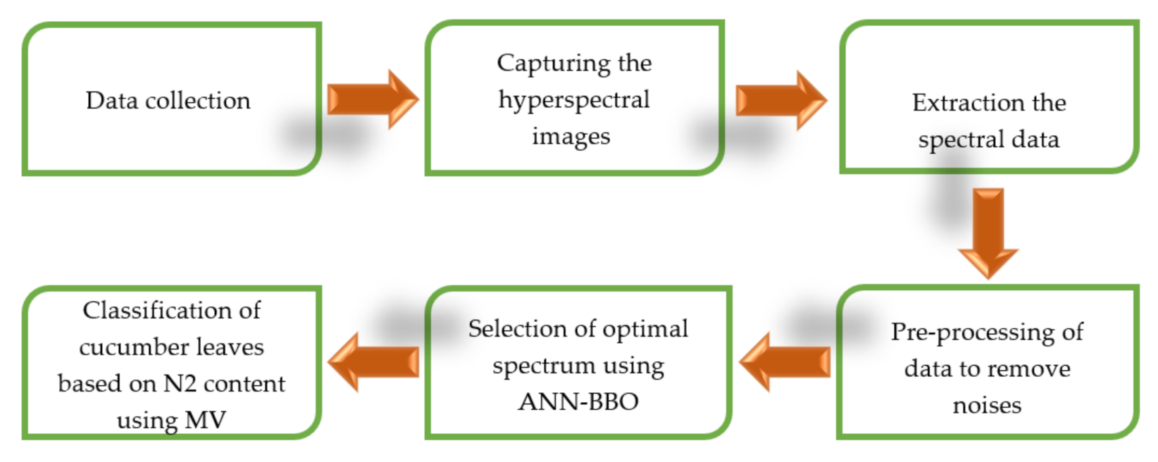 Plants 10 00898 g003 Plants 10 00898 g003