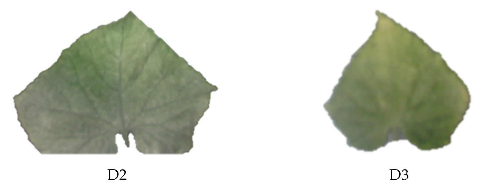 Plants 10 00898 g004b Plants 10 00898 g004b